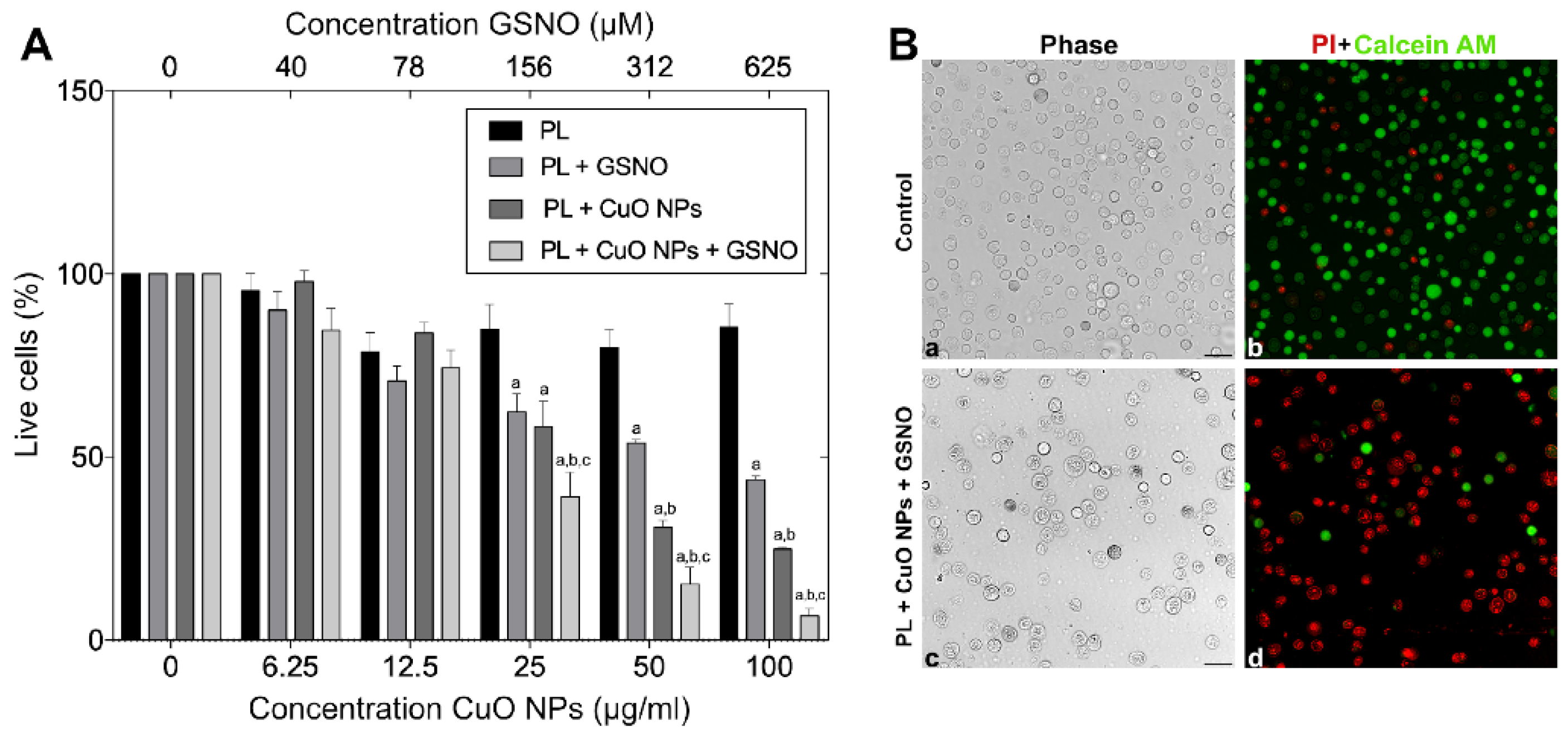 Pharmaceutics 15 01971 g007 Pharmaceutics 15 01971 g007