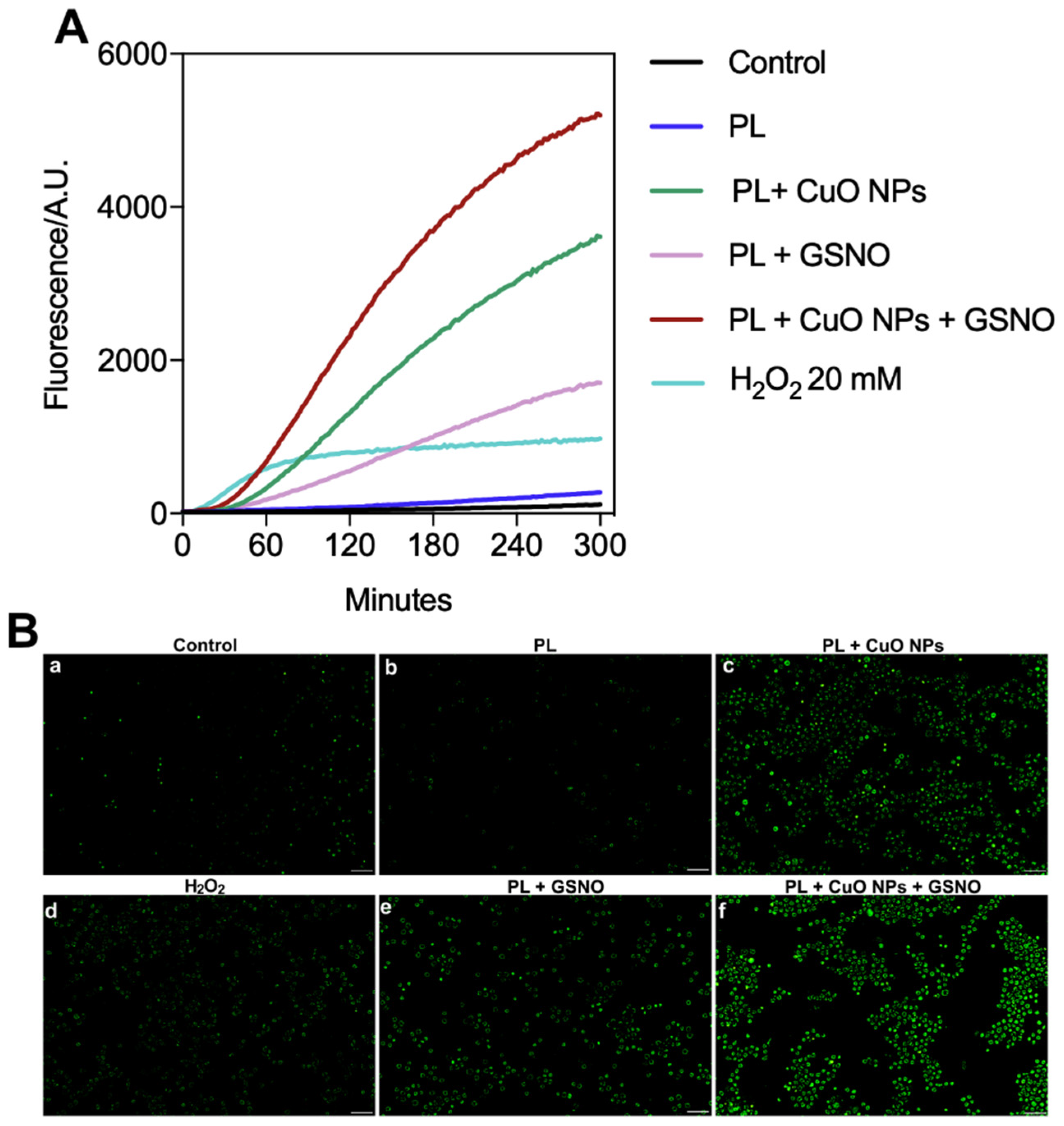 Pharmaceutics 15 01971 g009 Pharmaceutics 15 01971 g009