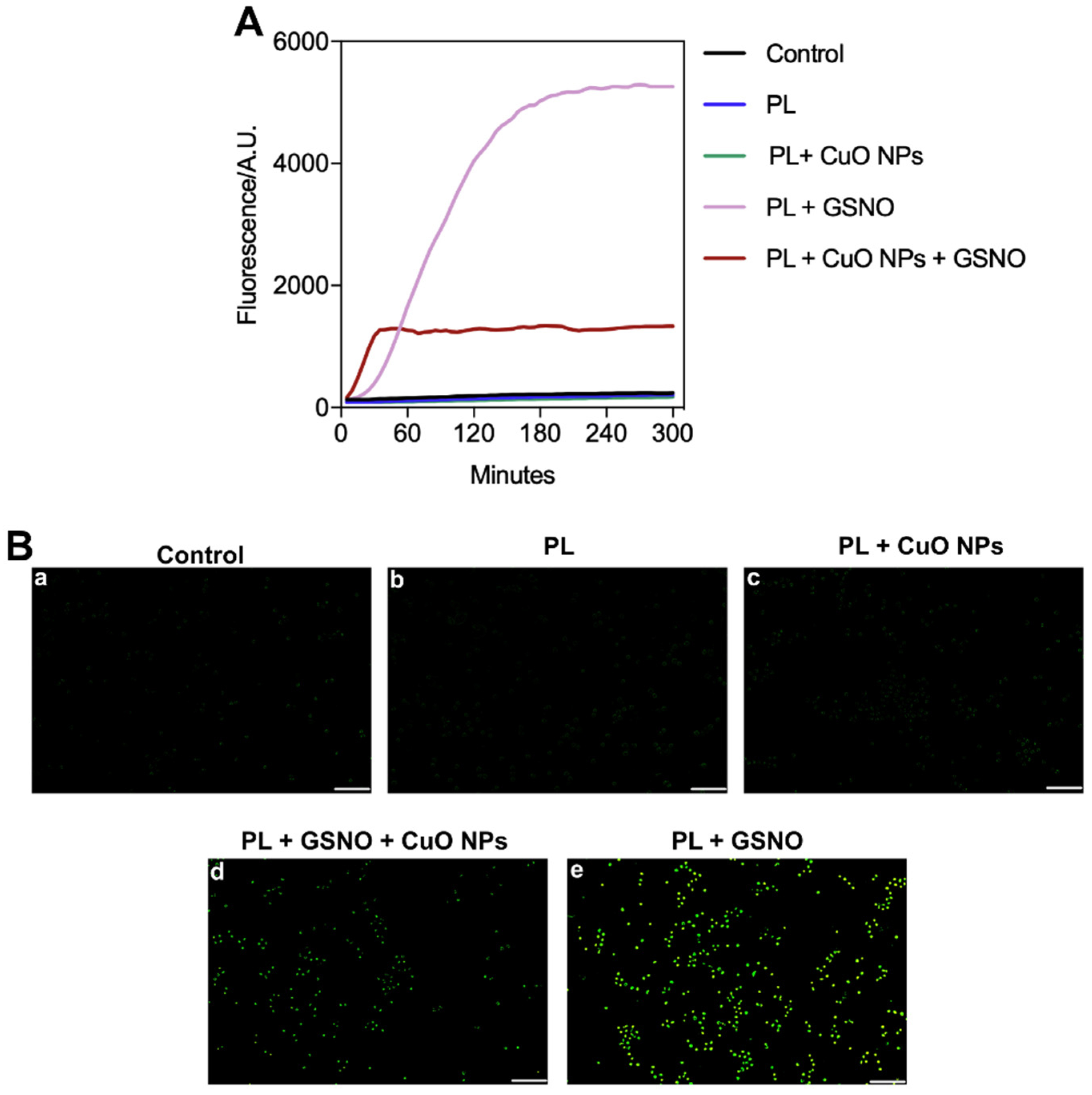 Pharmaceutics 15 01971 g010 Pharmaceutics 15 01971 g010