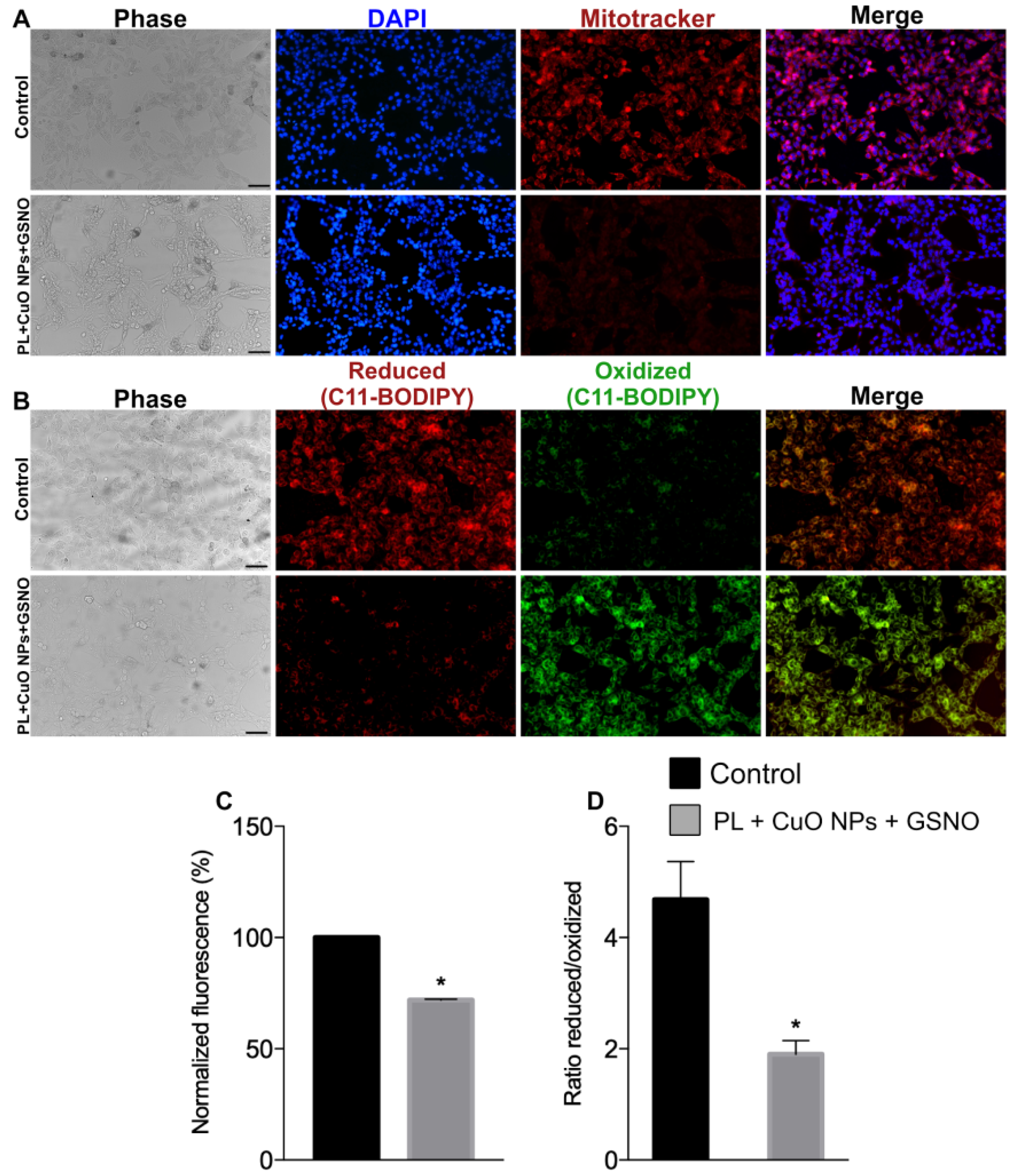 Pharmaceutics 15 01971 g011 Pharmaceutics 15 01971 g011
