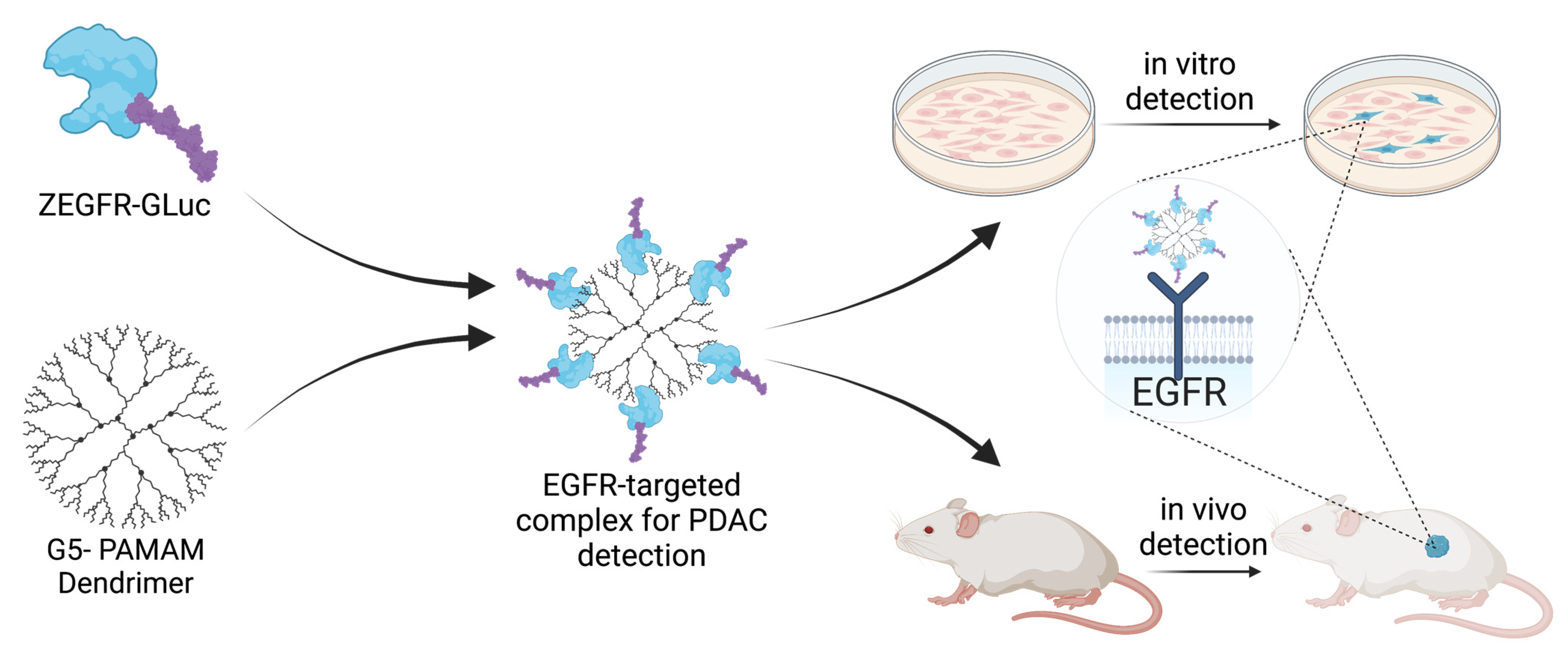 Pharmaceutics 15 01976 g001