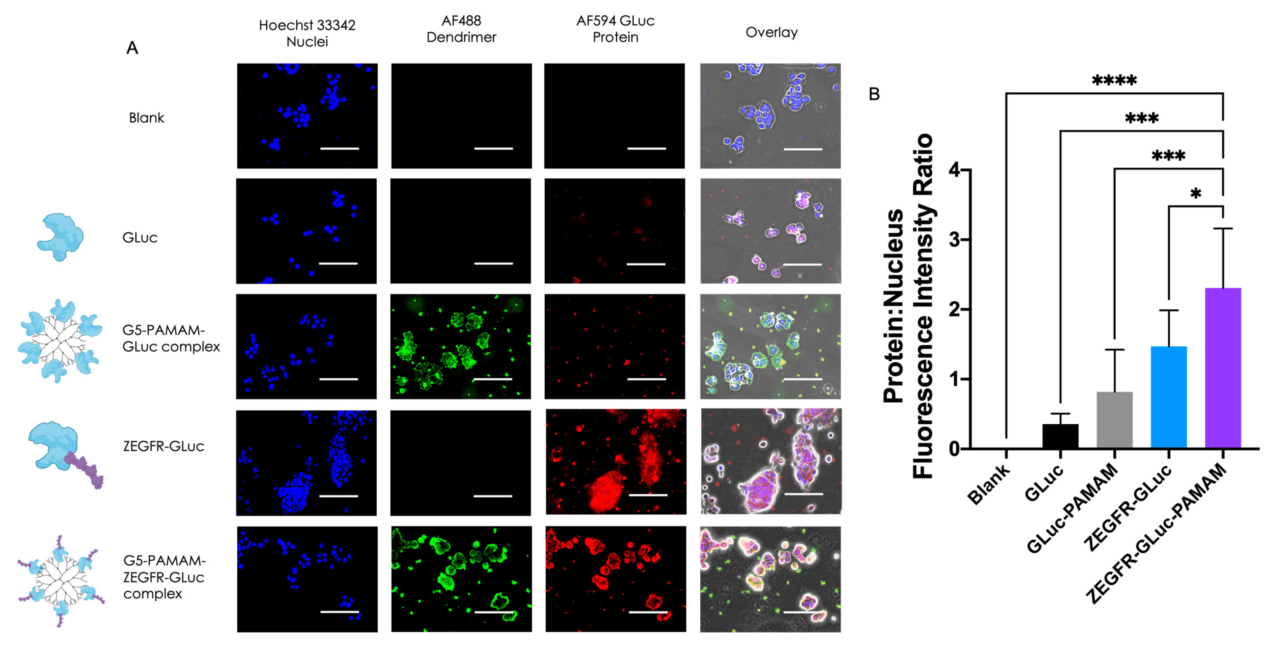 Pharmaceutics 15 01976 g003