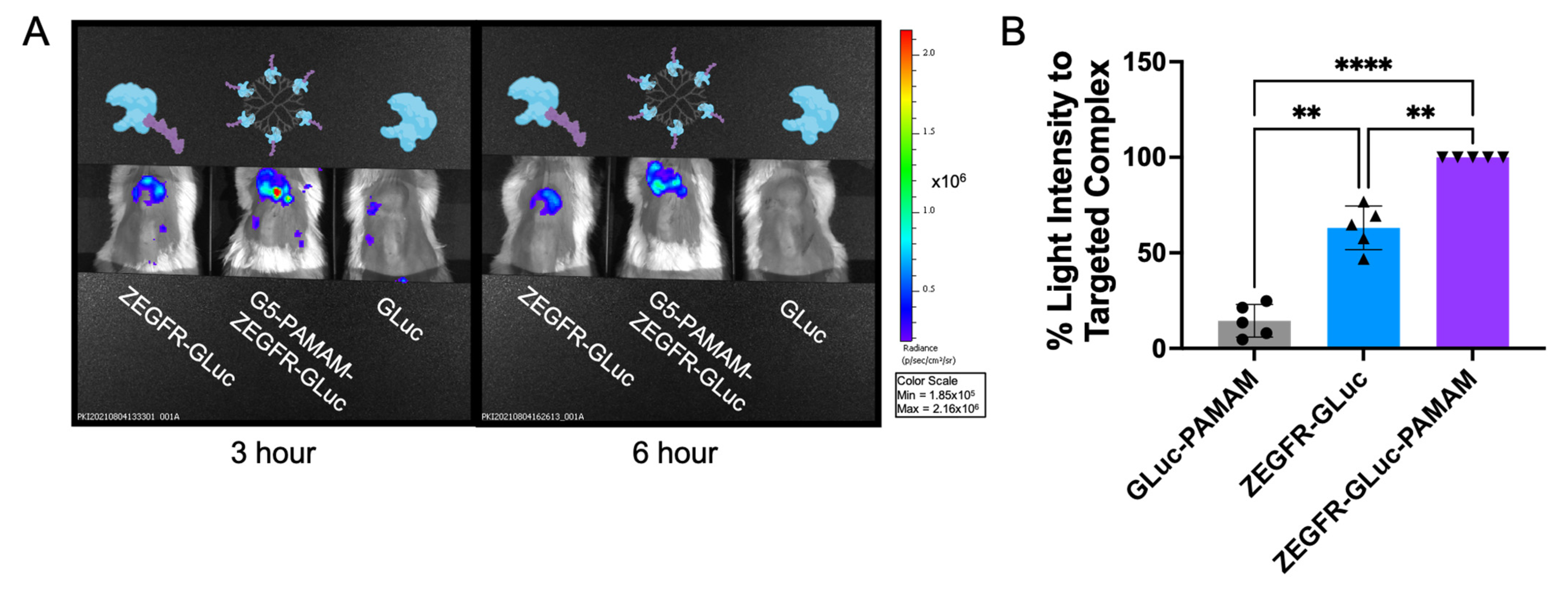 Pharmaceutics 15 01976 g004