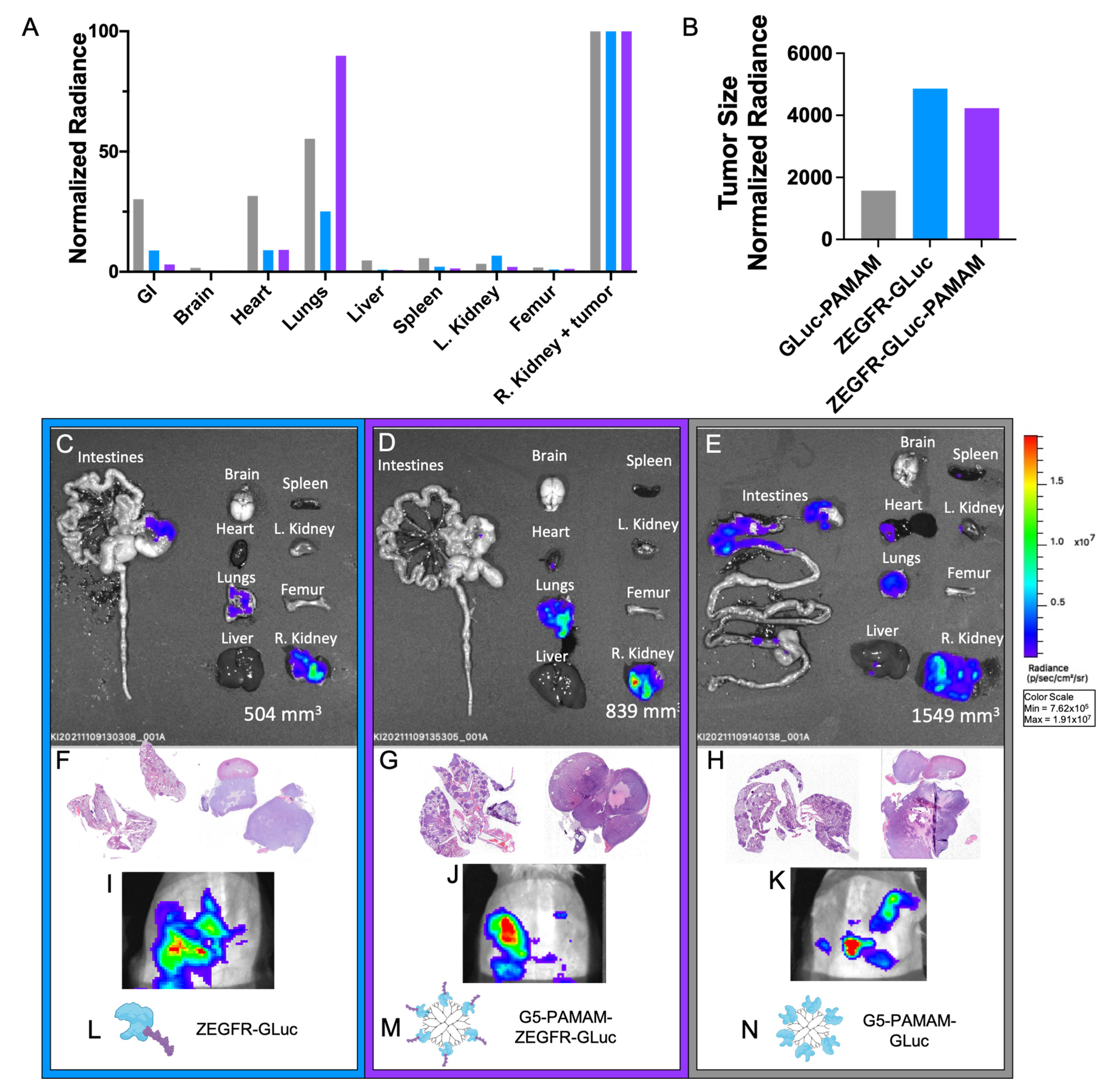 Pharmaceutics 15 01976 g005