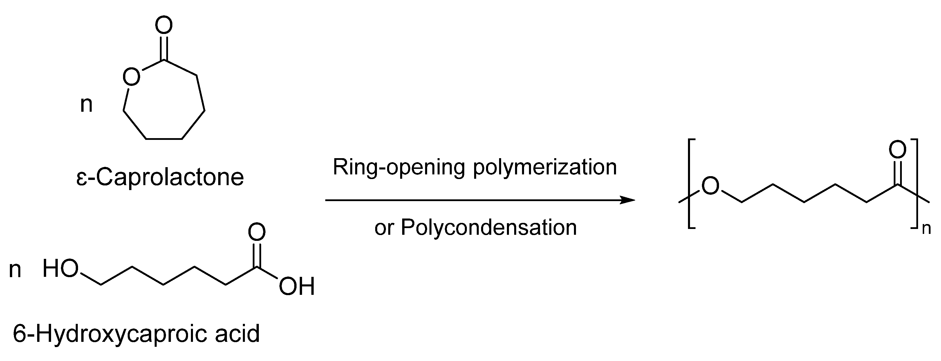 Pharmaceutics 15 01977 g001