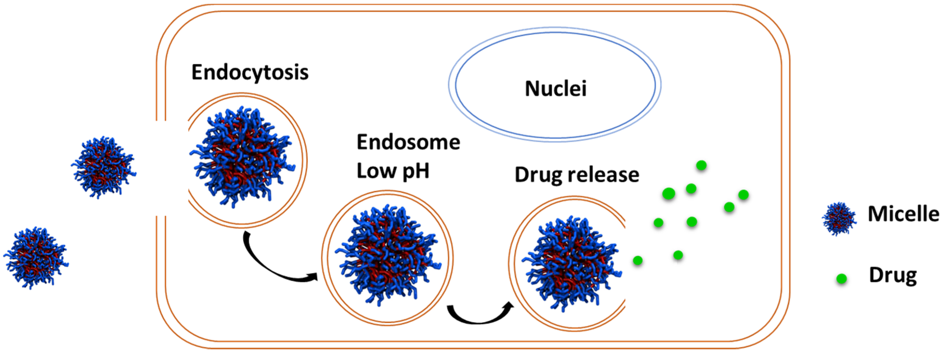 Pharmaceutics 15 01977 g015