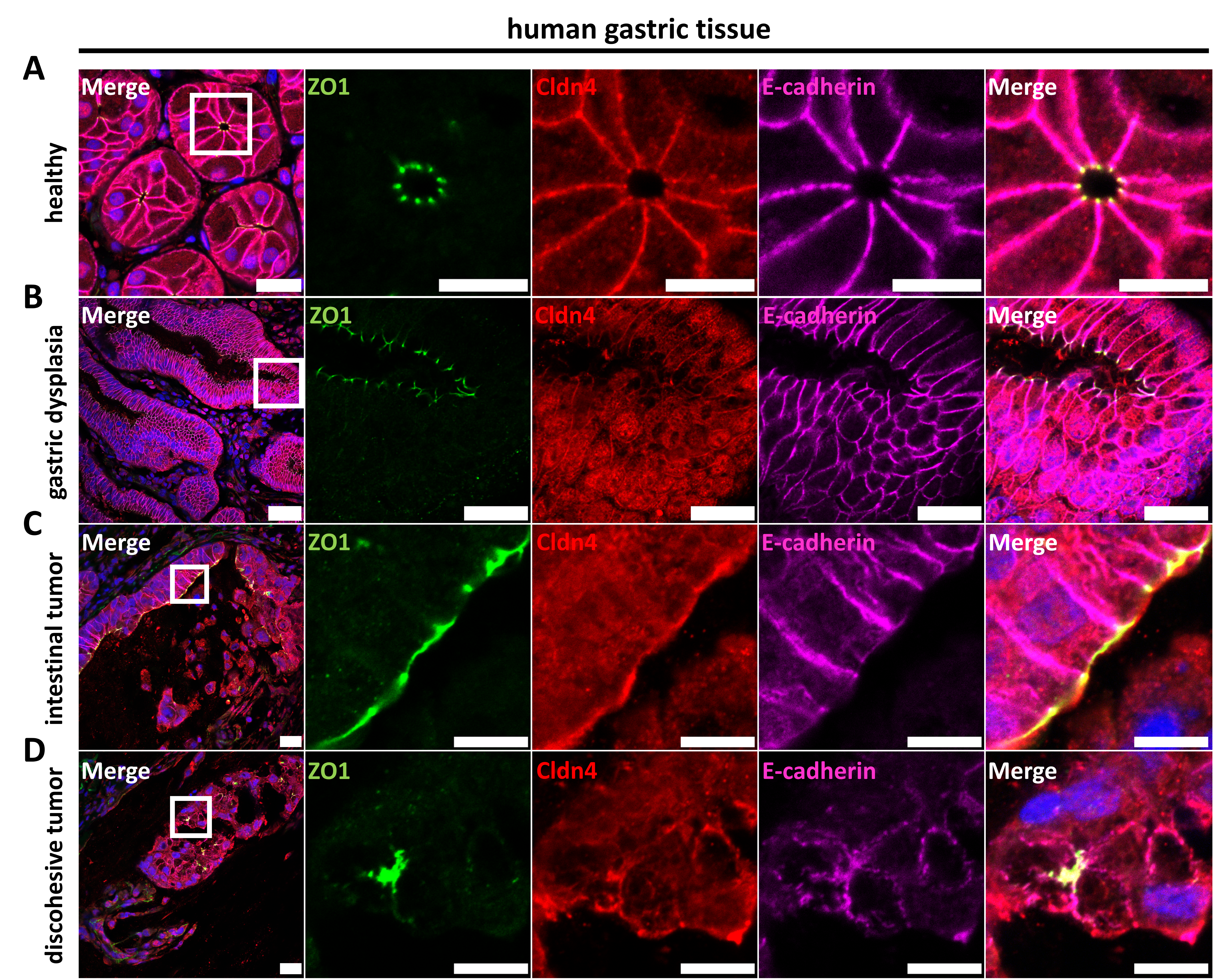 Pharmaceutics 15 01980 g005