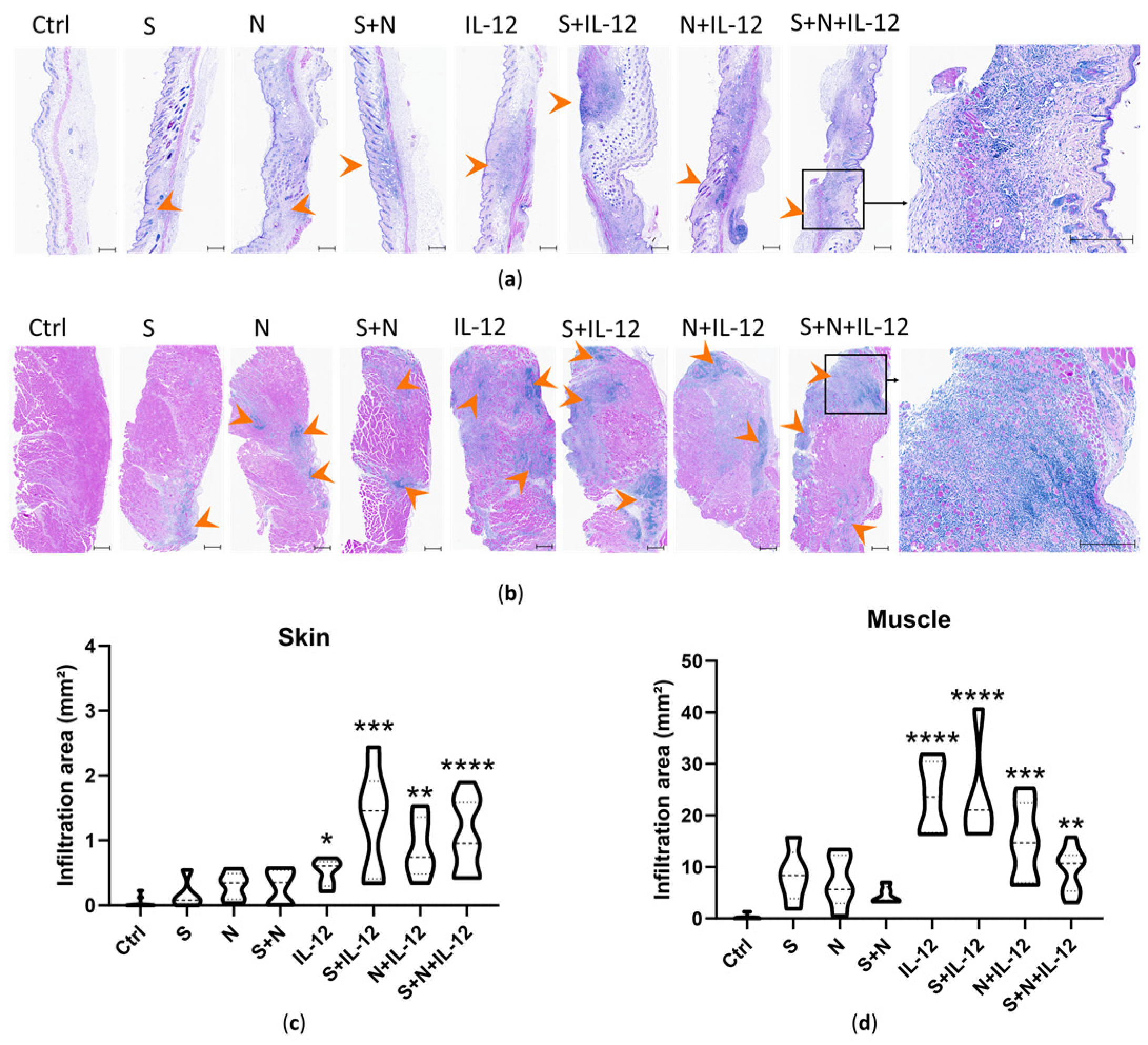 Pharmaceutics 15 01981 g004