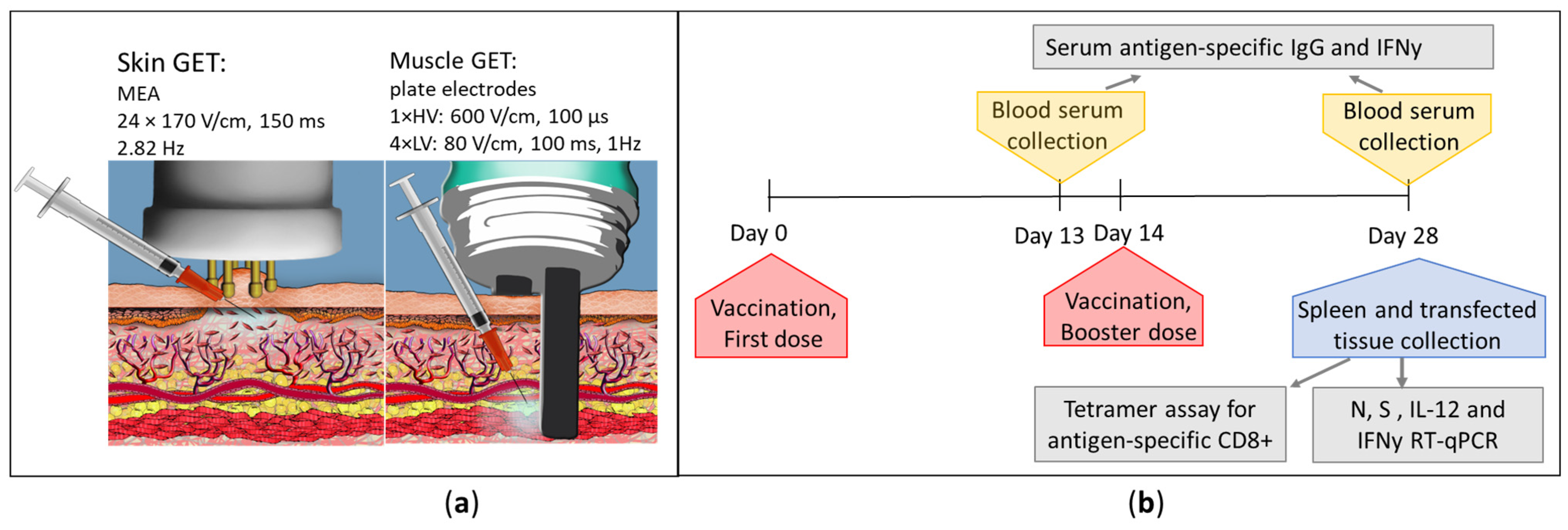 Pharmaceutics 15 01981 sch001