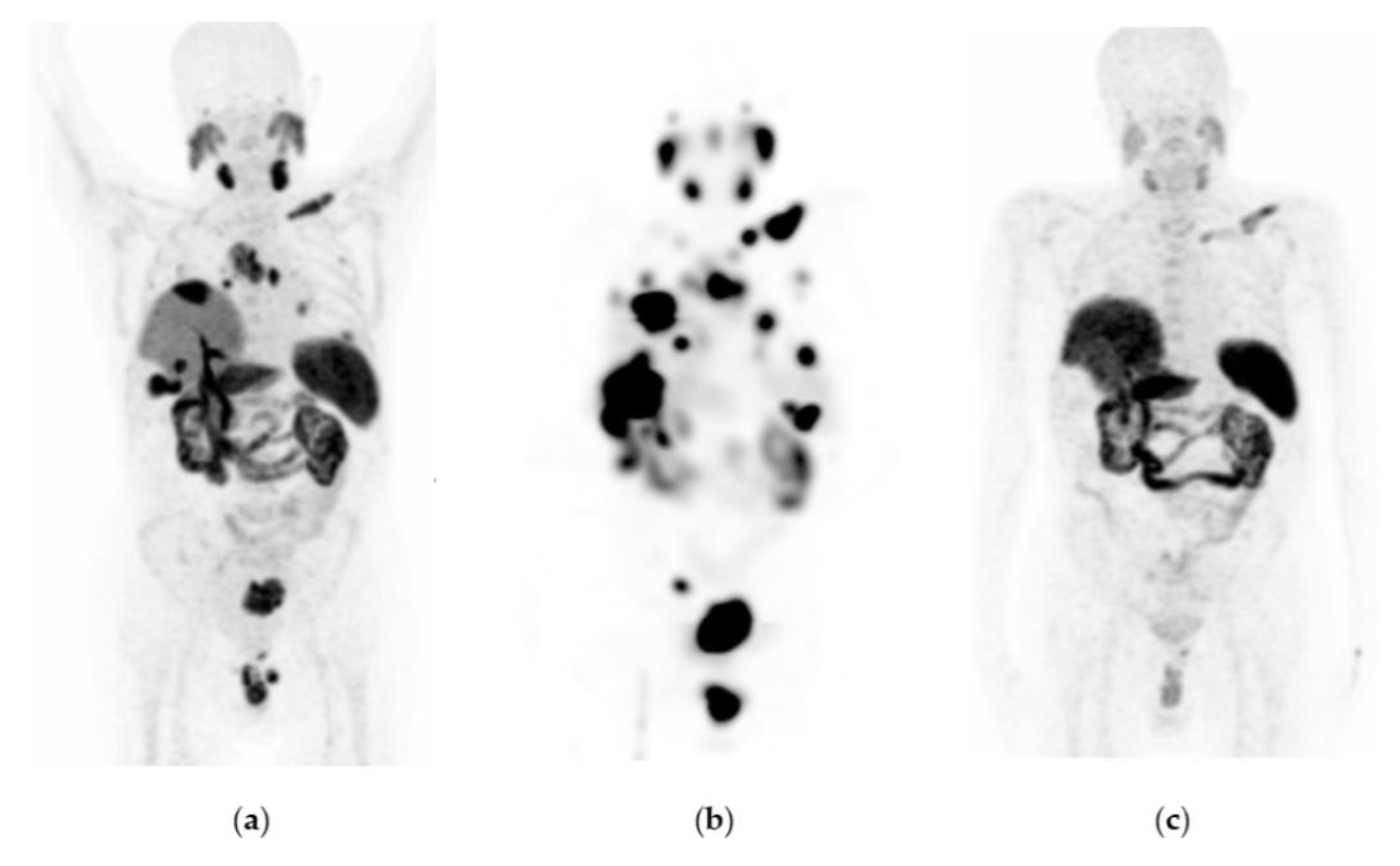 Pharmaceutics 15 01988 g003