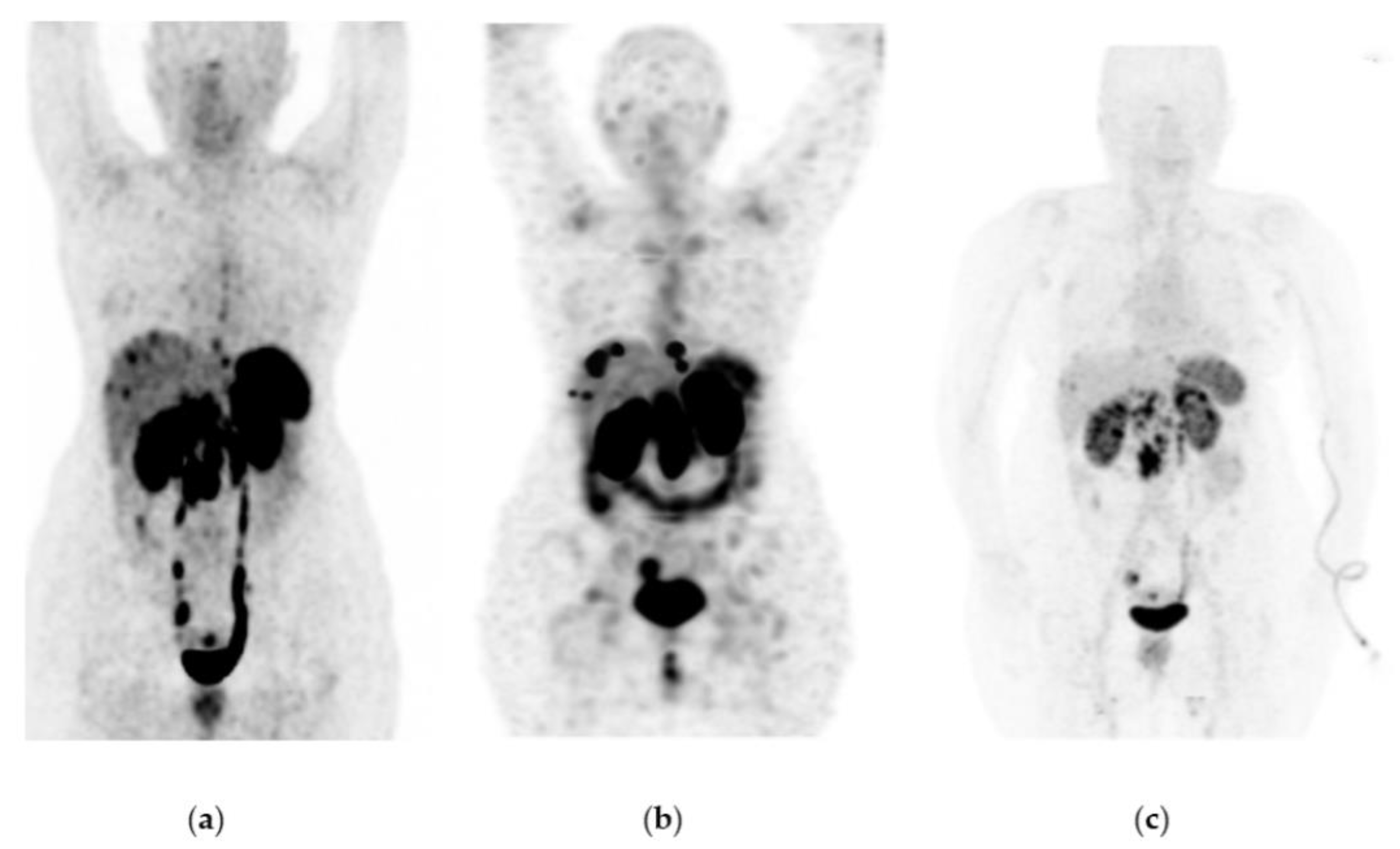 Pharmaceutics 15 01988 g006