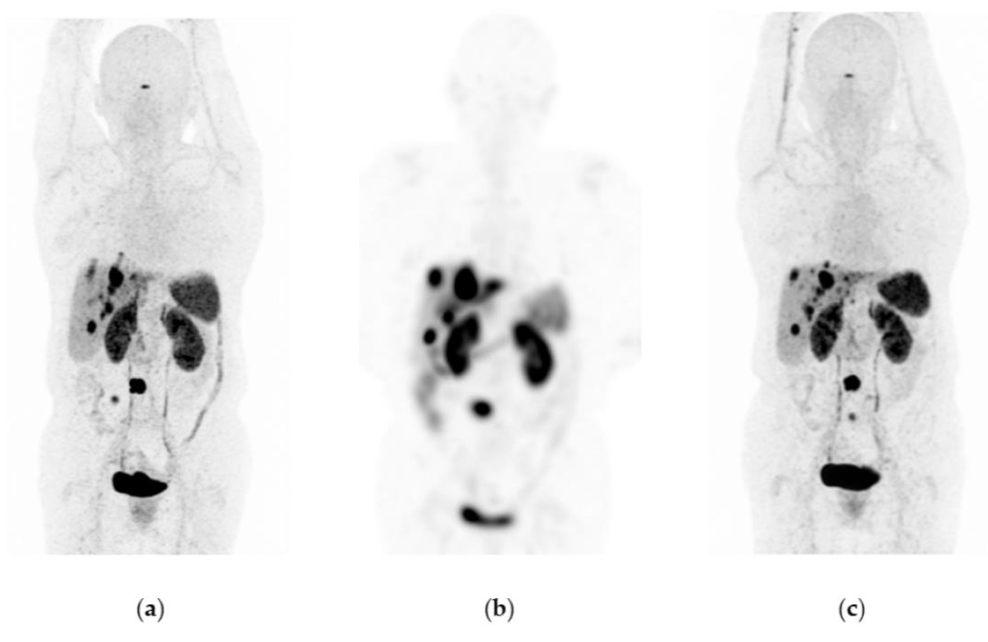 Pharmaceutics 15 01988 g007