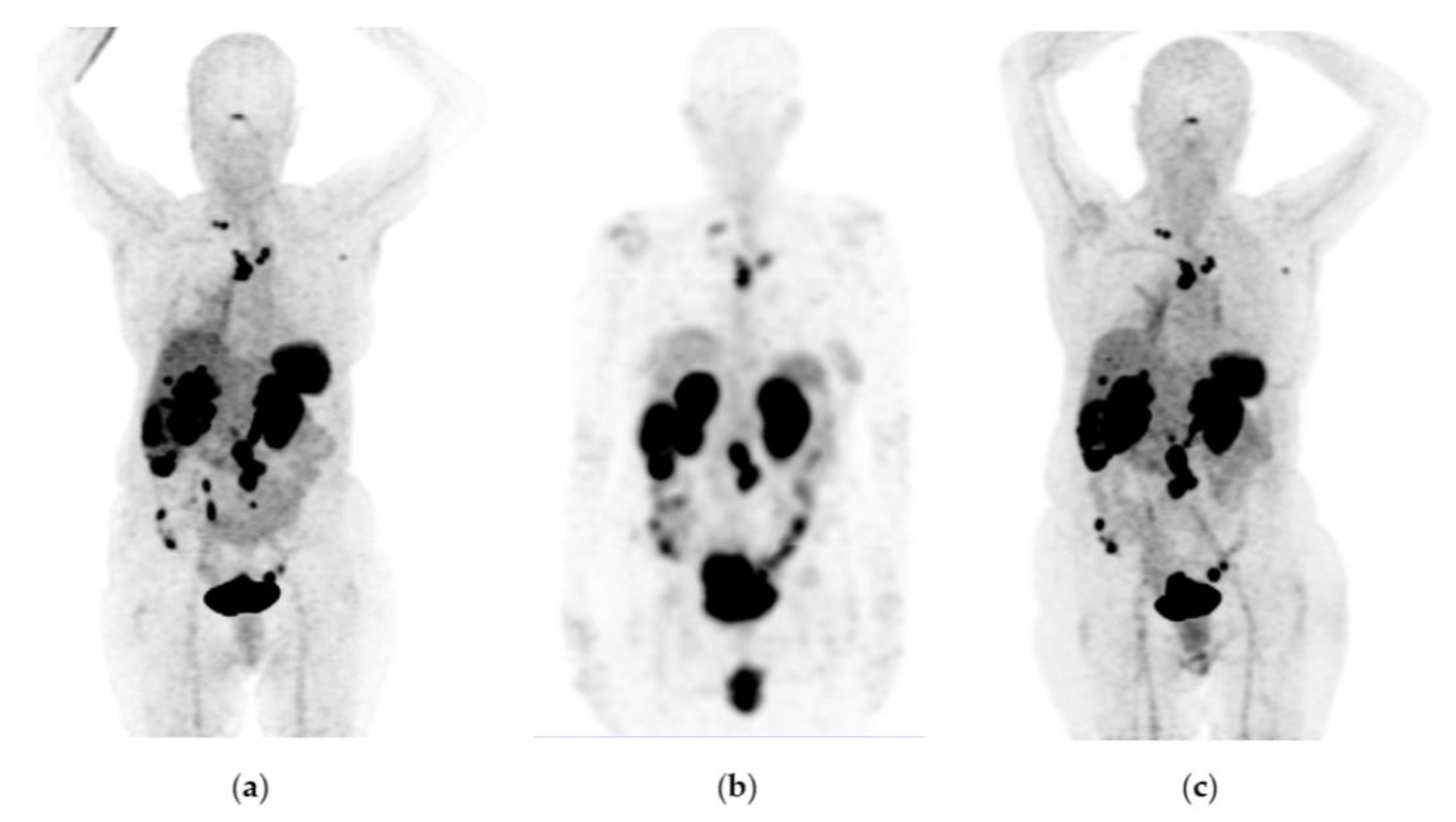 Pharmaceutics 15 01988 g008