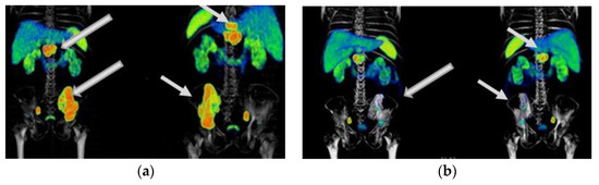 Pharmaceutics 15 01988 g0a1