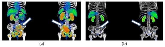 Pharmaceutics 15 01988 g0a2