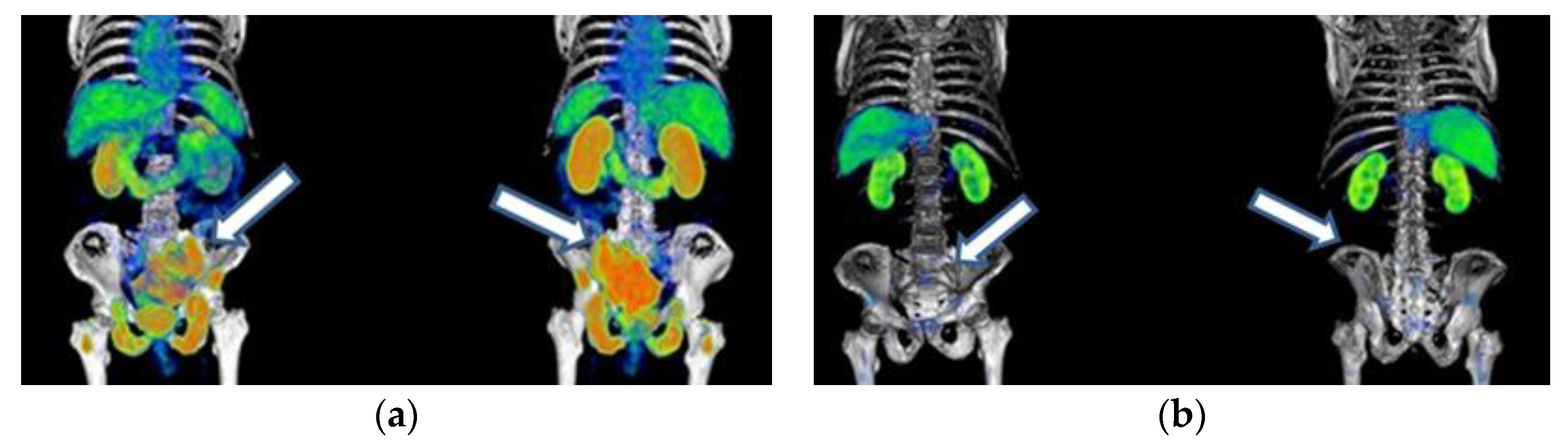 Pharmaceutics 15 01988 g0a2