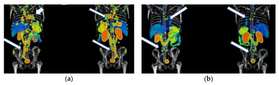 Pharmaceutics 15 01988 g0a3