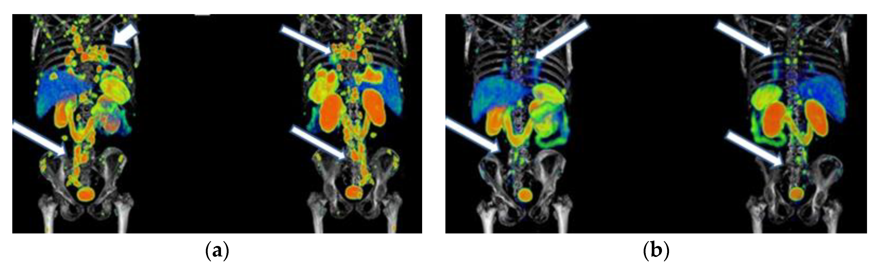 Pharmaceutics 15 01988 g0a3
