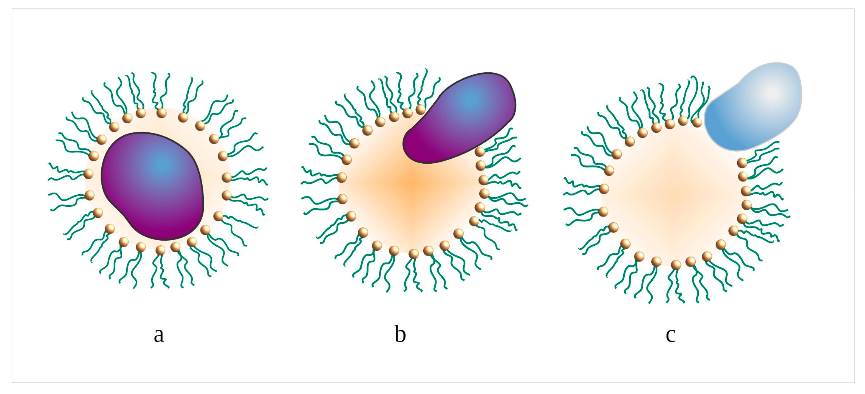 Pharmaceutics 15 01989 g002