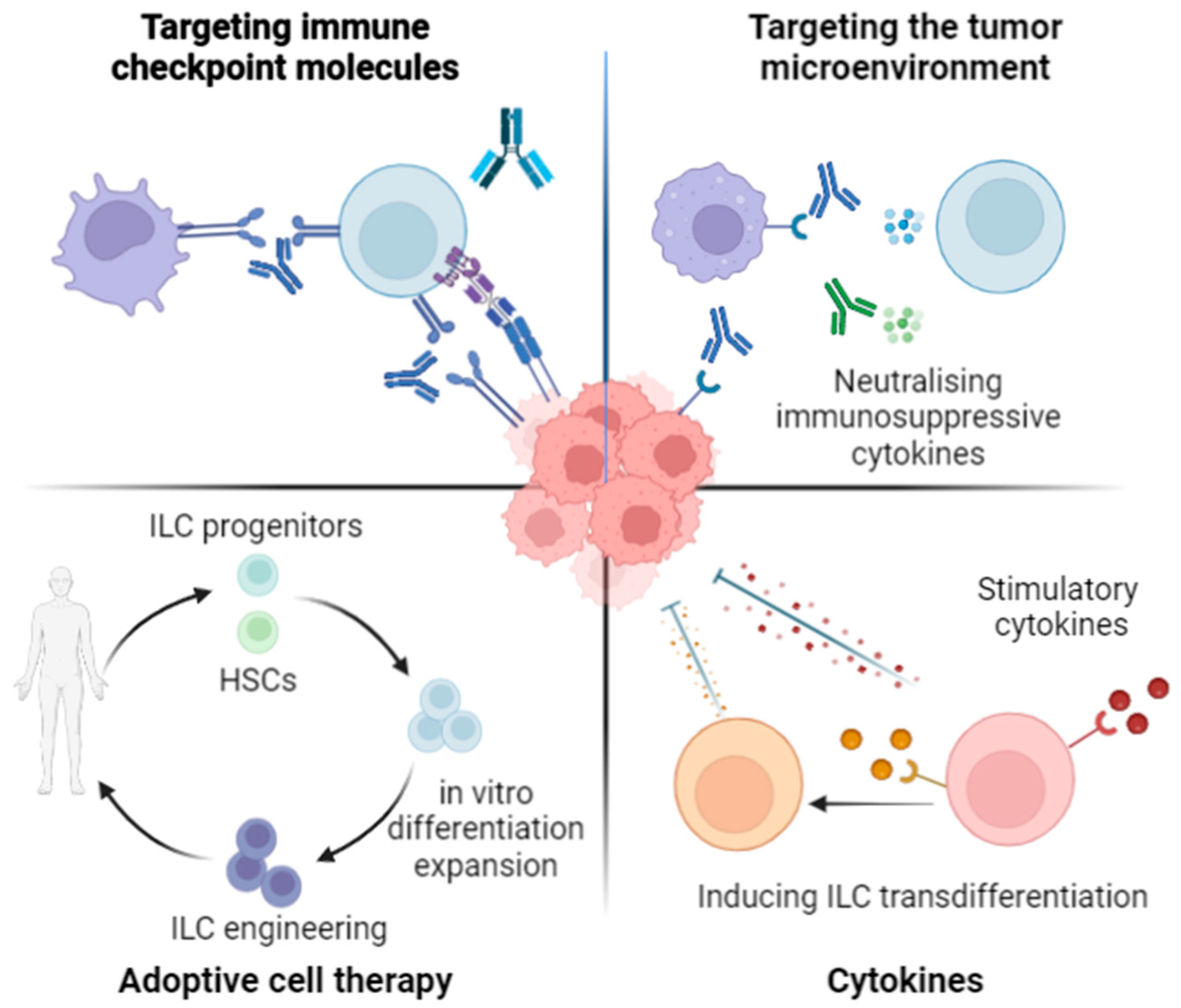 Pharmaceutics 15 02001 g002
