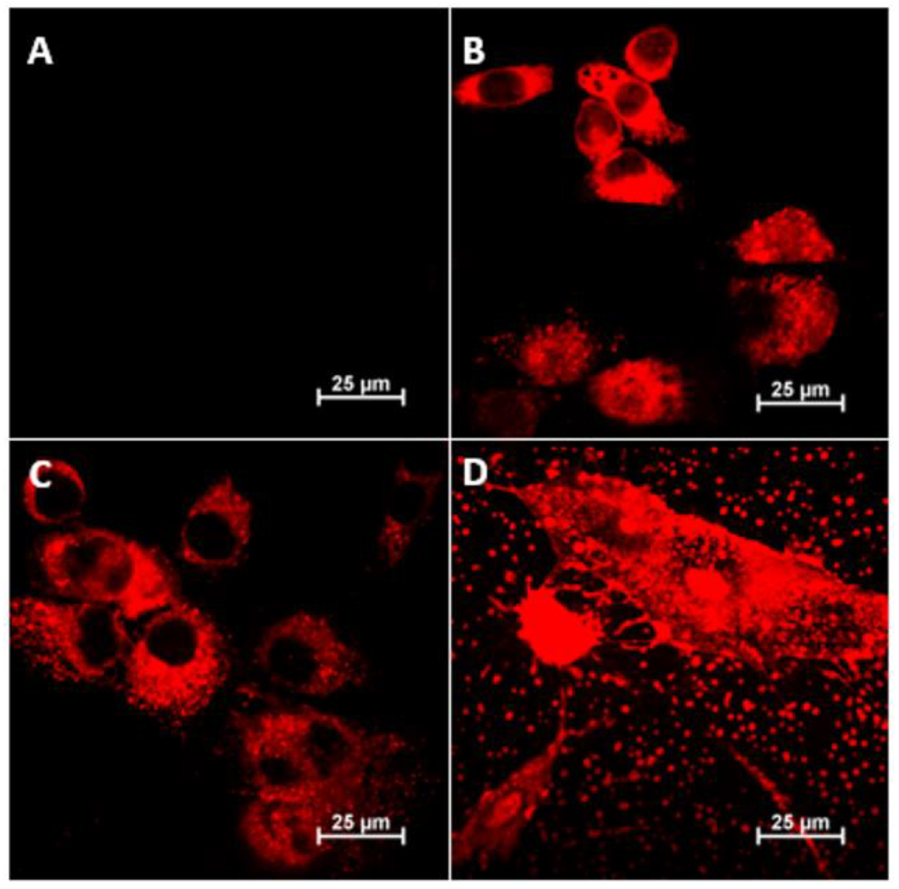 Pharmaceutics 15 02009 g006 Pharmaceutics 15 02009 g006