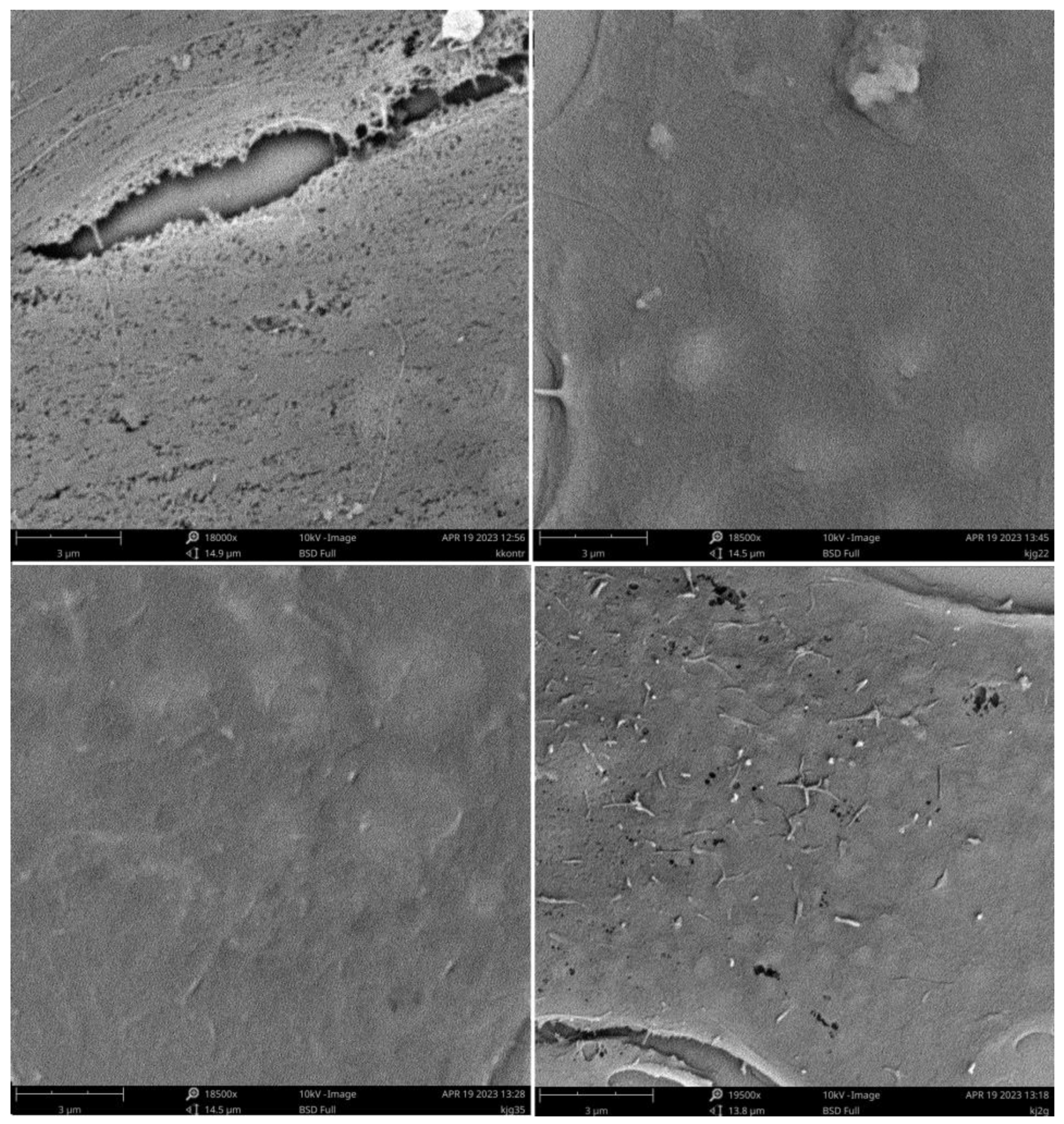 Pharmaceutics 15 02009 g007 Pharmaceutics 15 02009 g007
