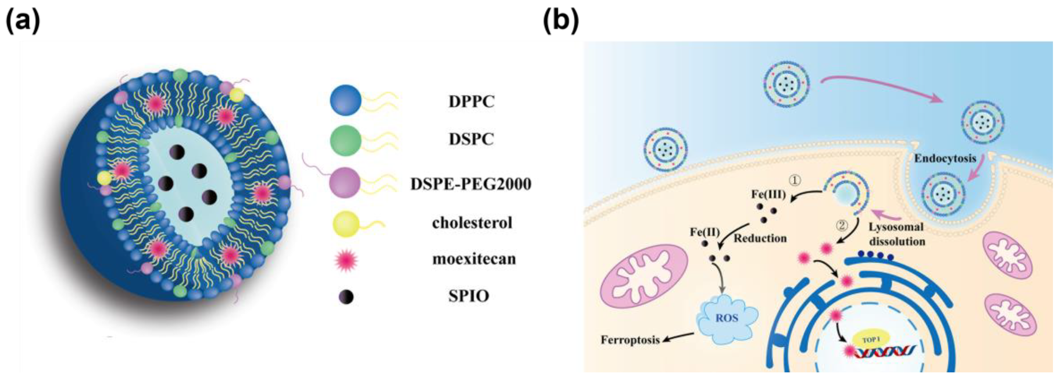 Pharmaceutics 15 02012 g001