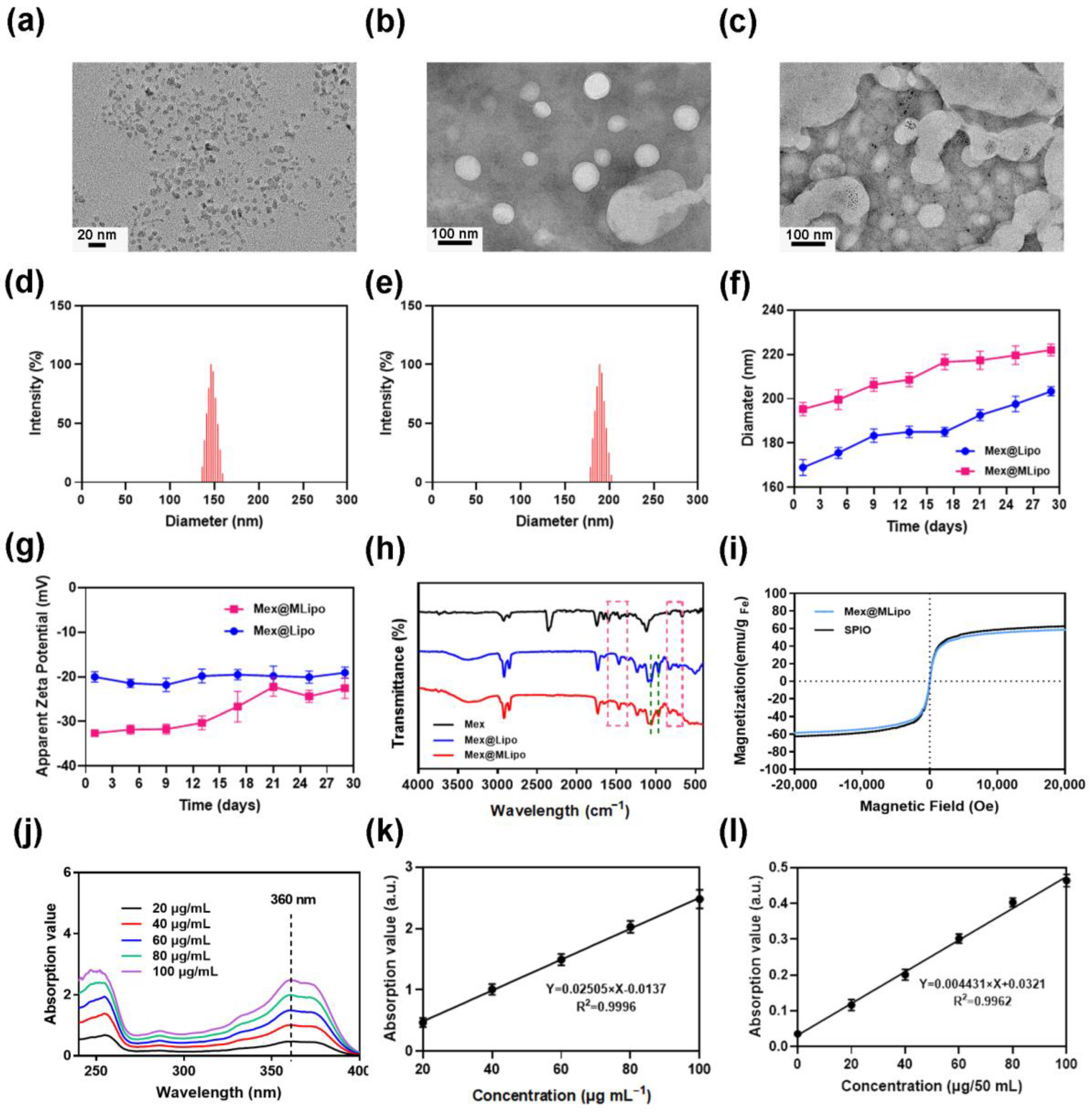 Pharmaceutics 15 02012 g002