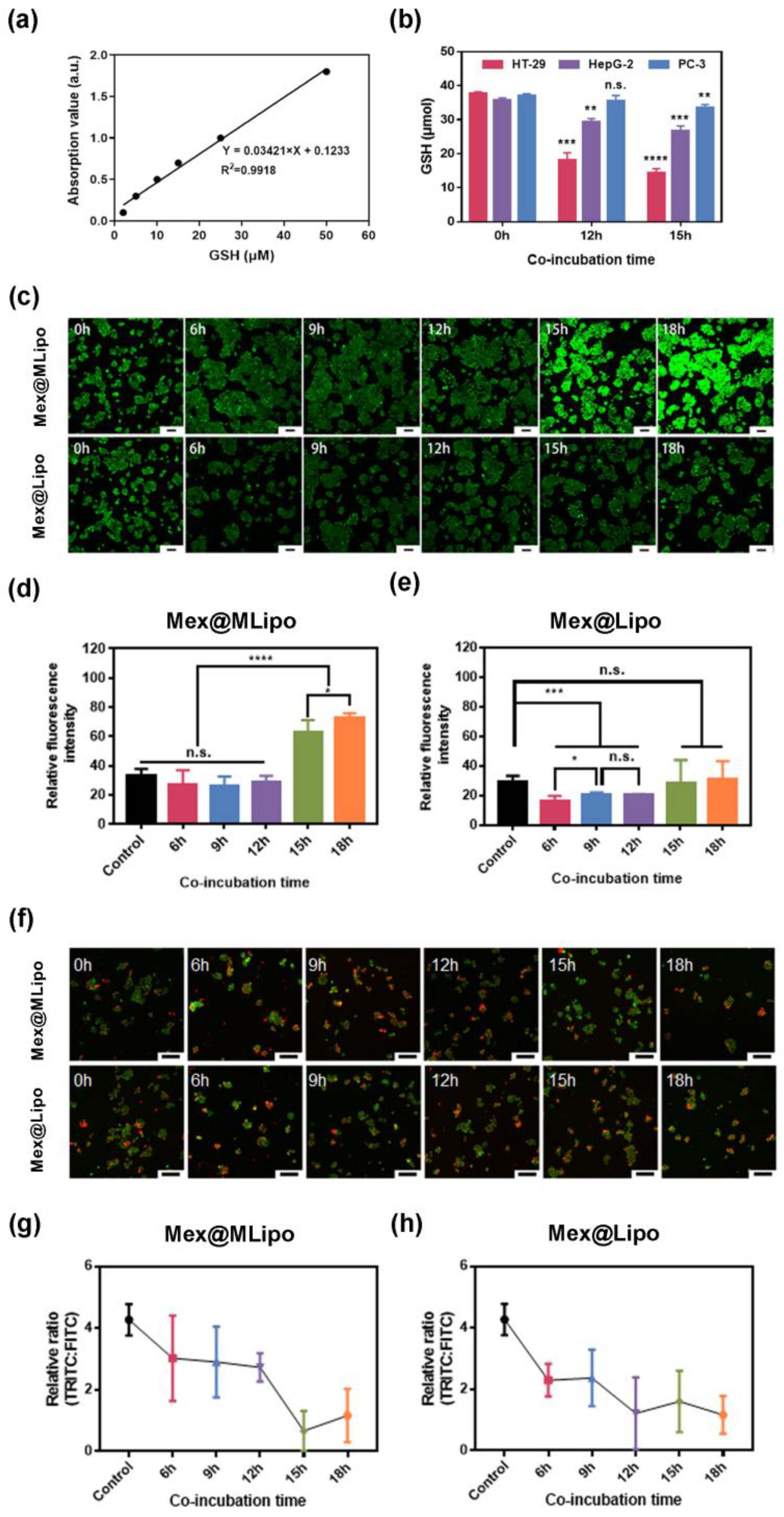 Pharmaceutics 15 02012 g005