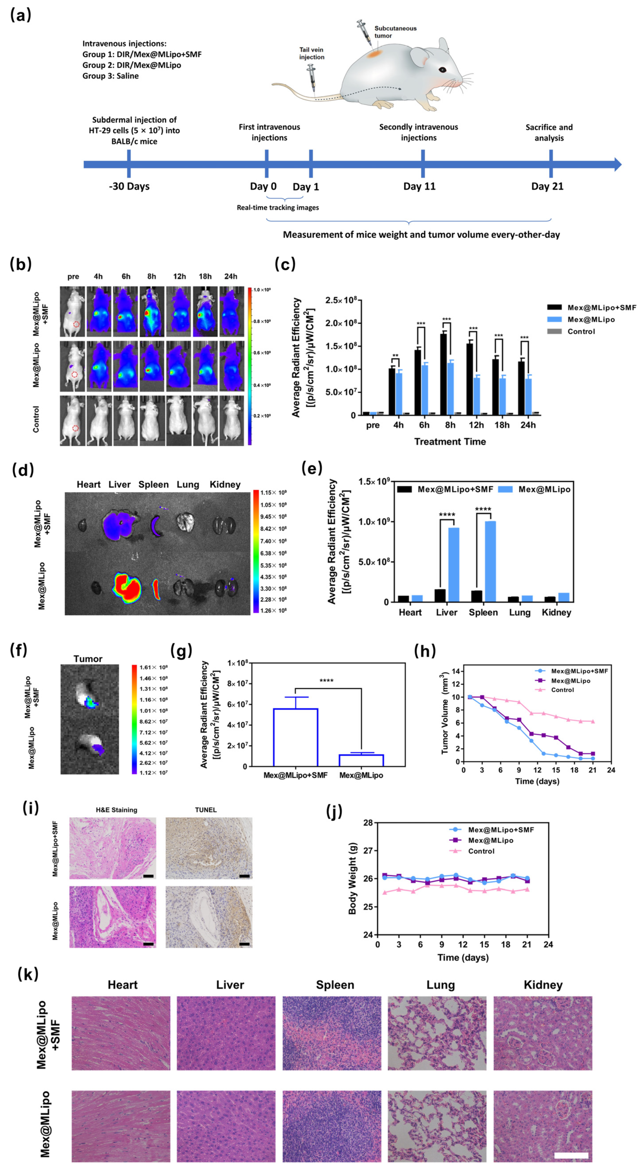 Pharmaceutics 15 02012 g006