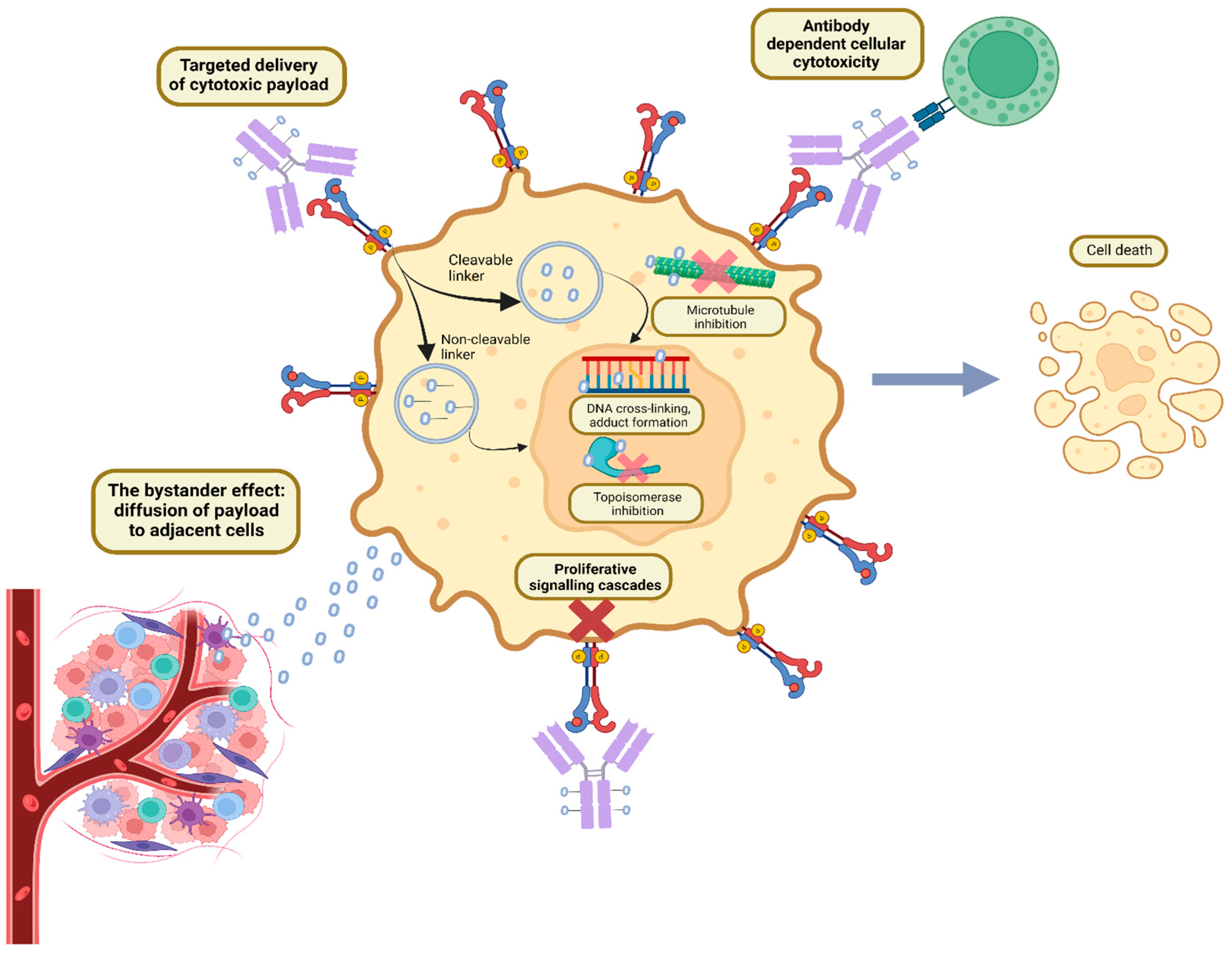 Pharmaceutics 15 02017 g001