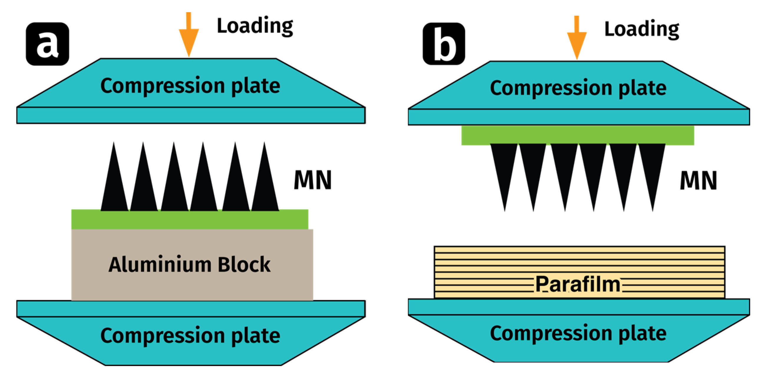 Pharmaceutics 15 02019 g003