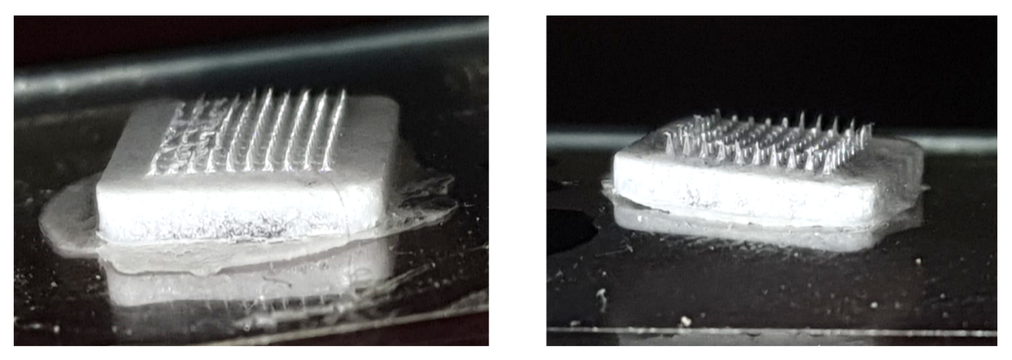 Pharmaceutics 15 02019 g012