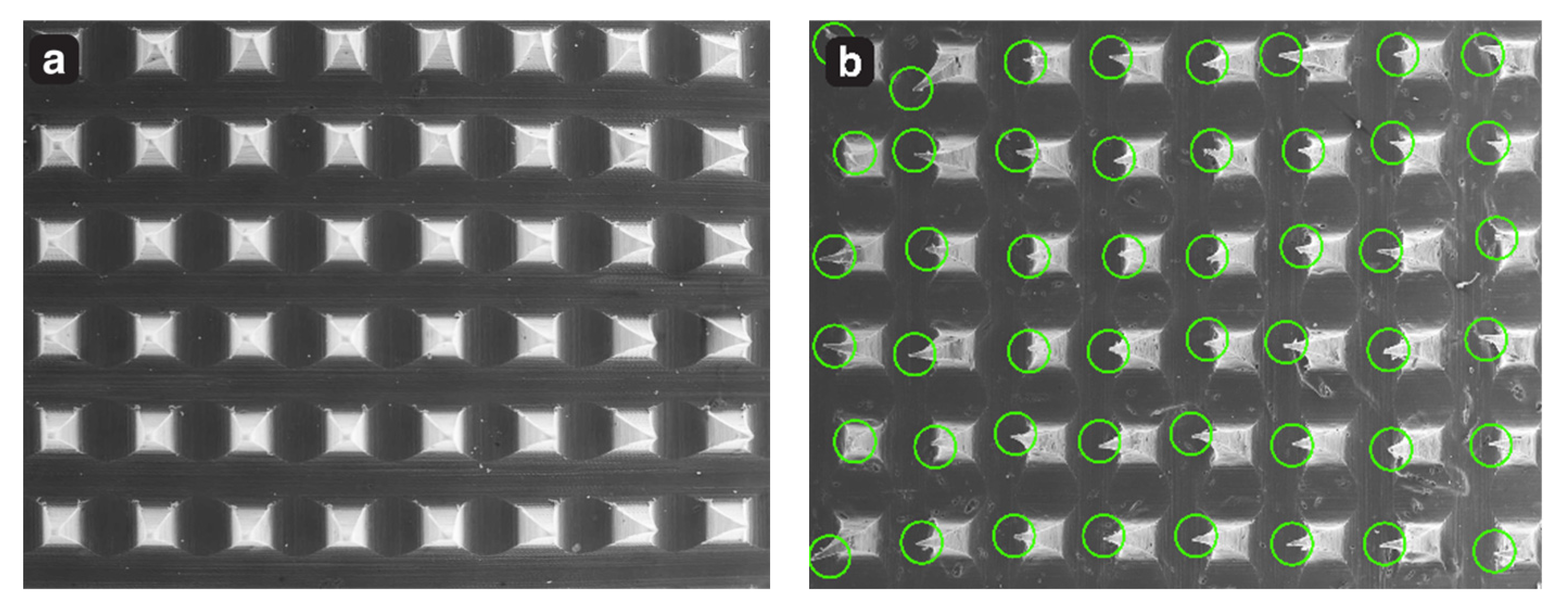 Pharmaceutics 15 02019 g015