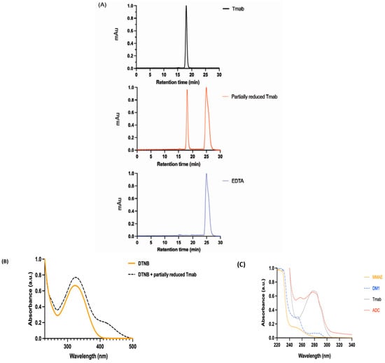 Pharmaceutics 15 02020 g001