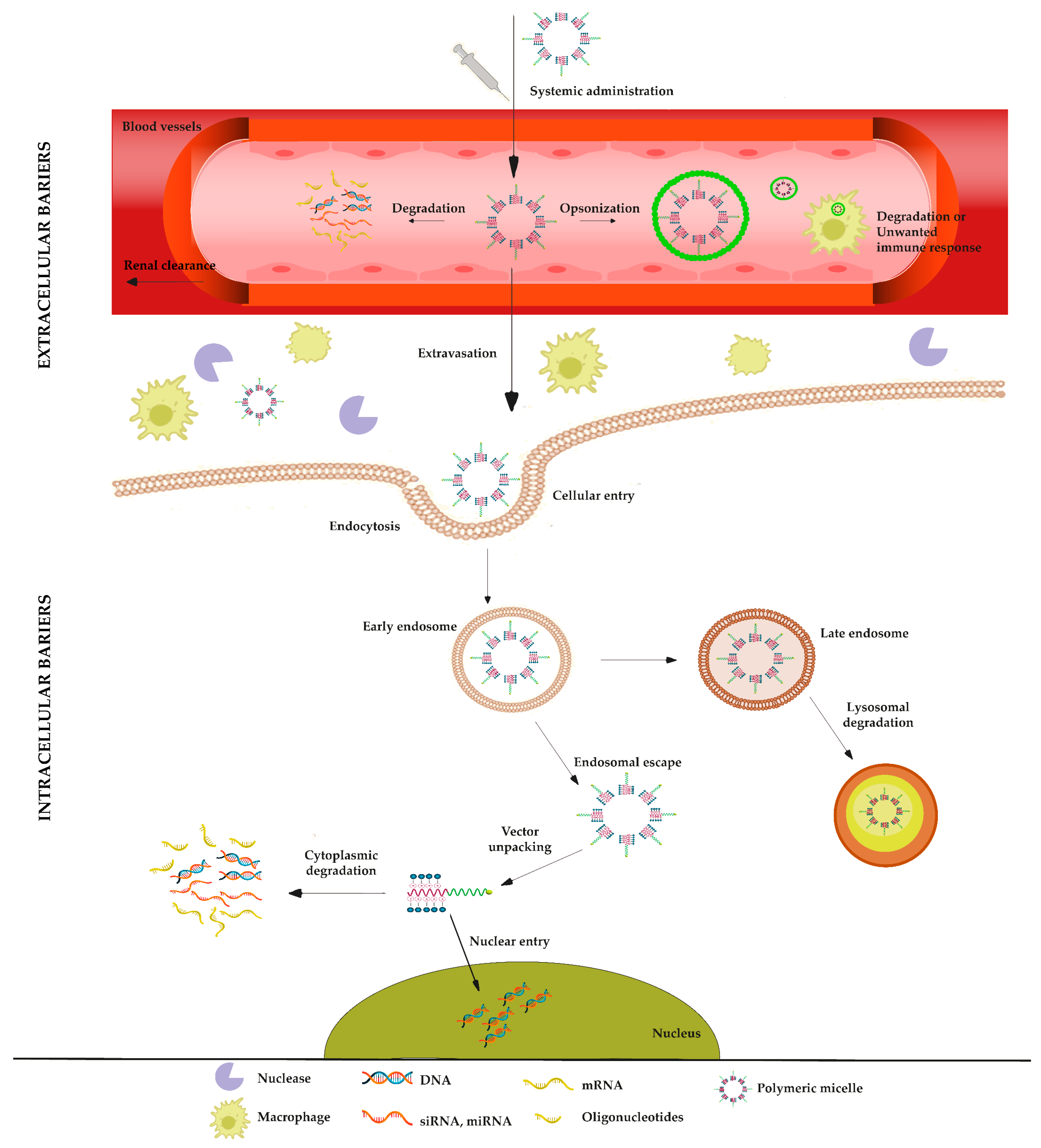 Pharmaceutics 15 02021 g004