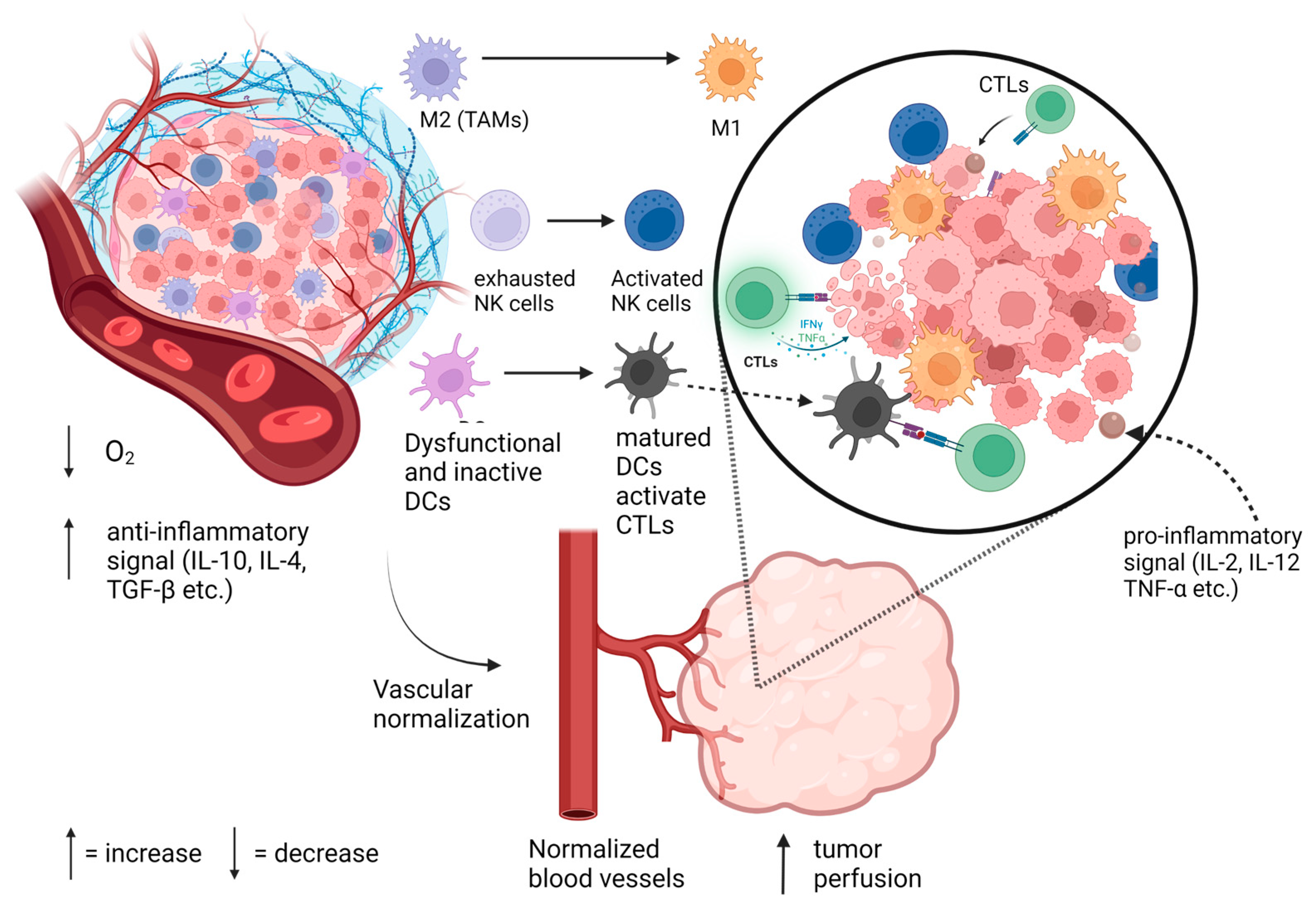 Pharmaceutics 15 02022 g001