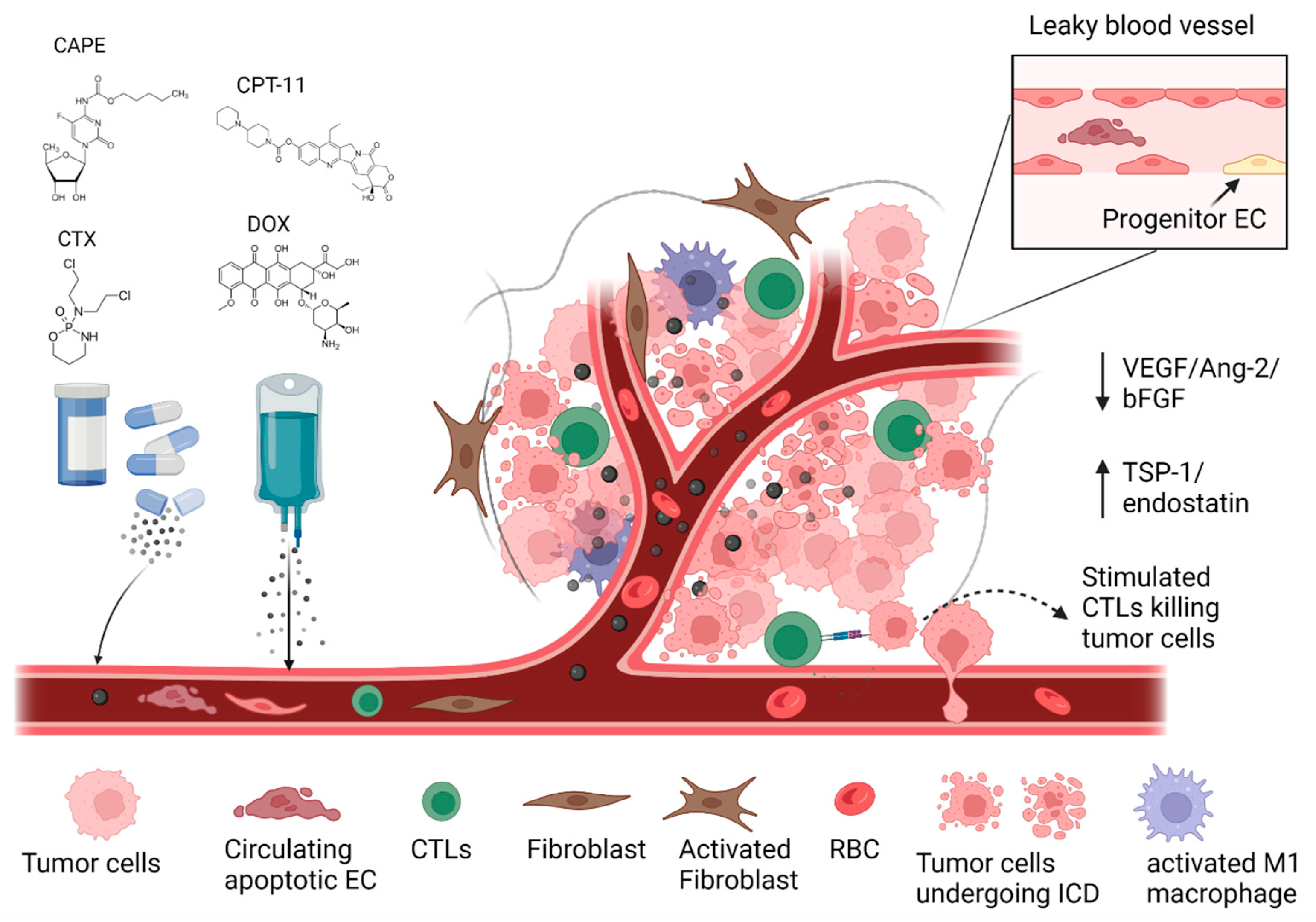 Pharmaceutics 15 02022 g002