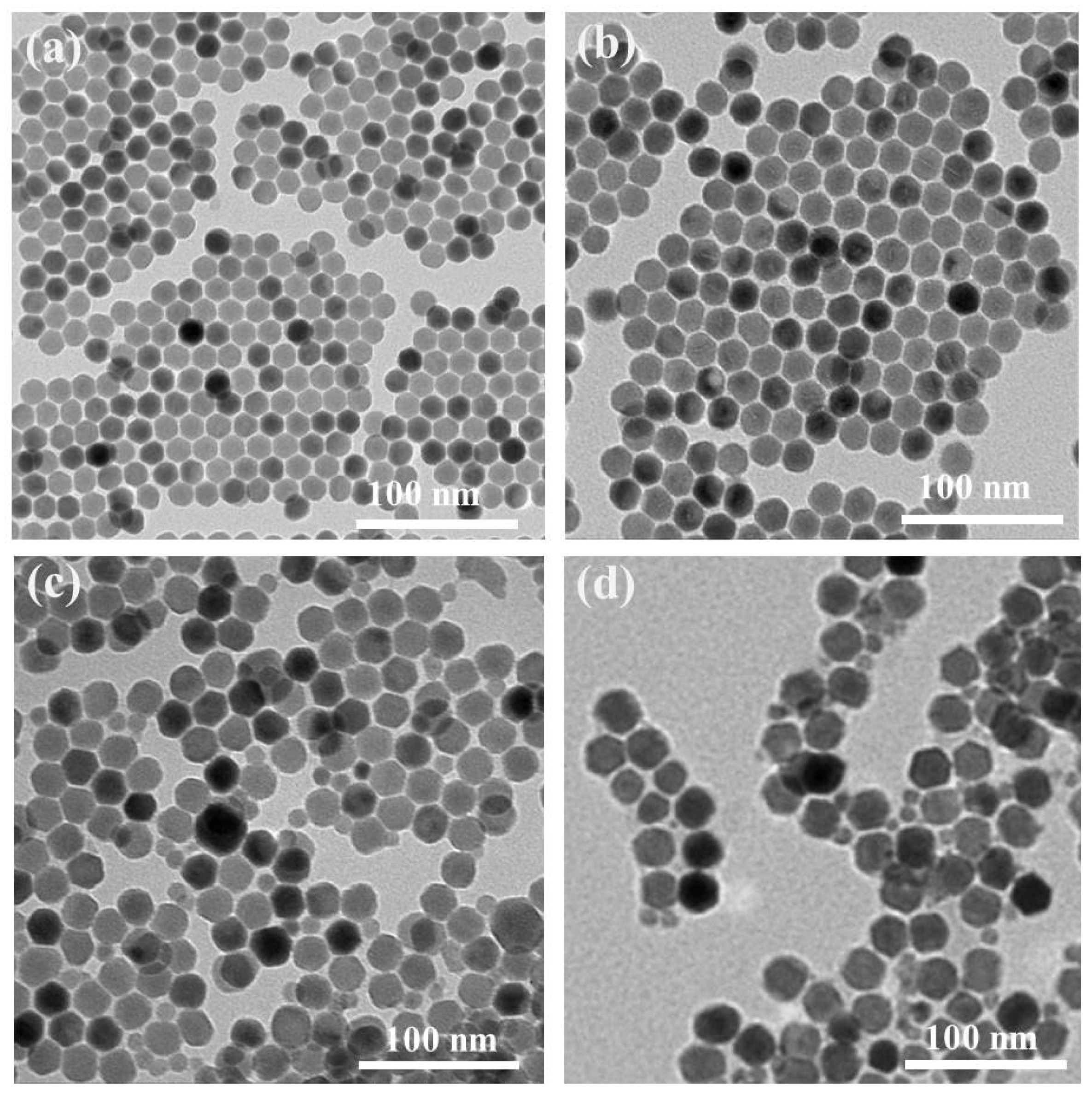 Pharmaceutics 15 02027 g001