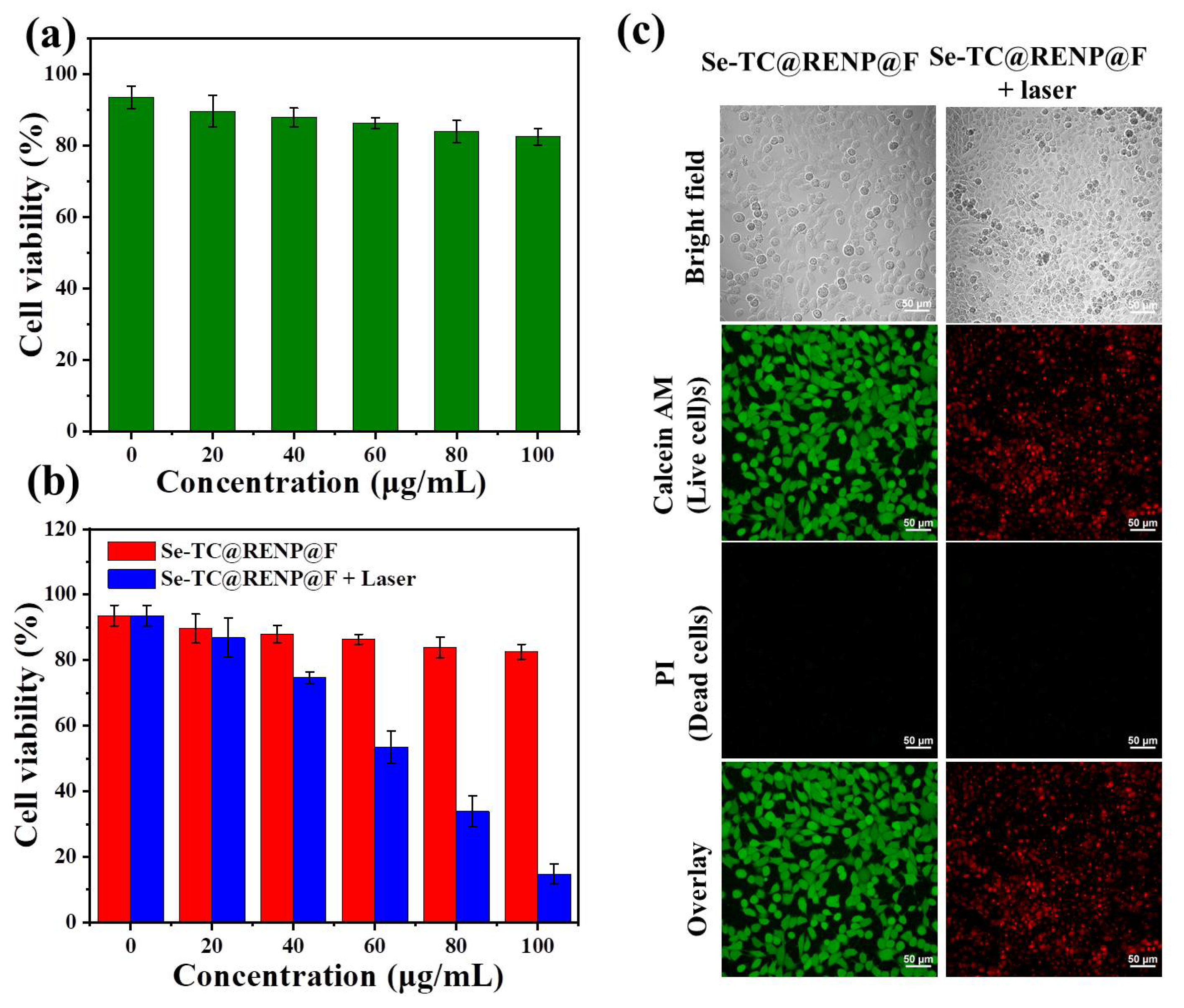 Pharmaceutics 15 02027 g004
