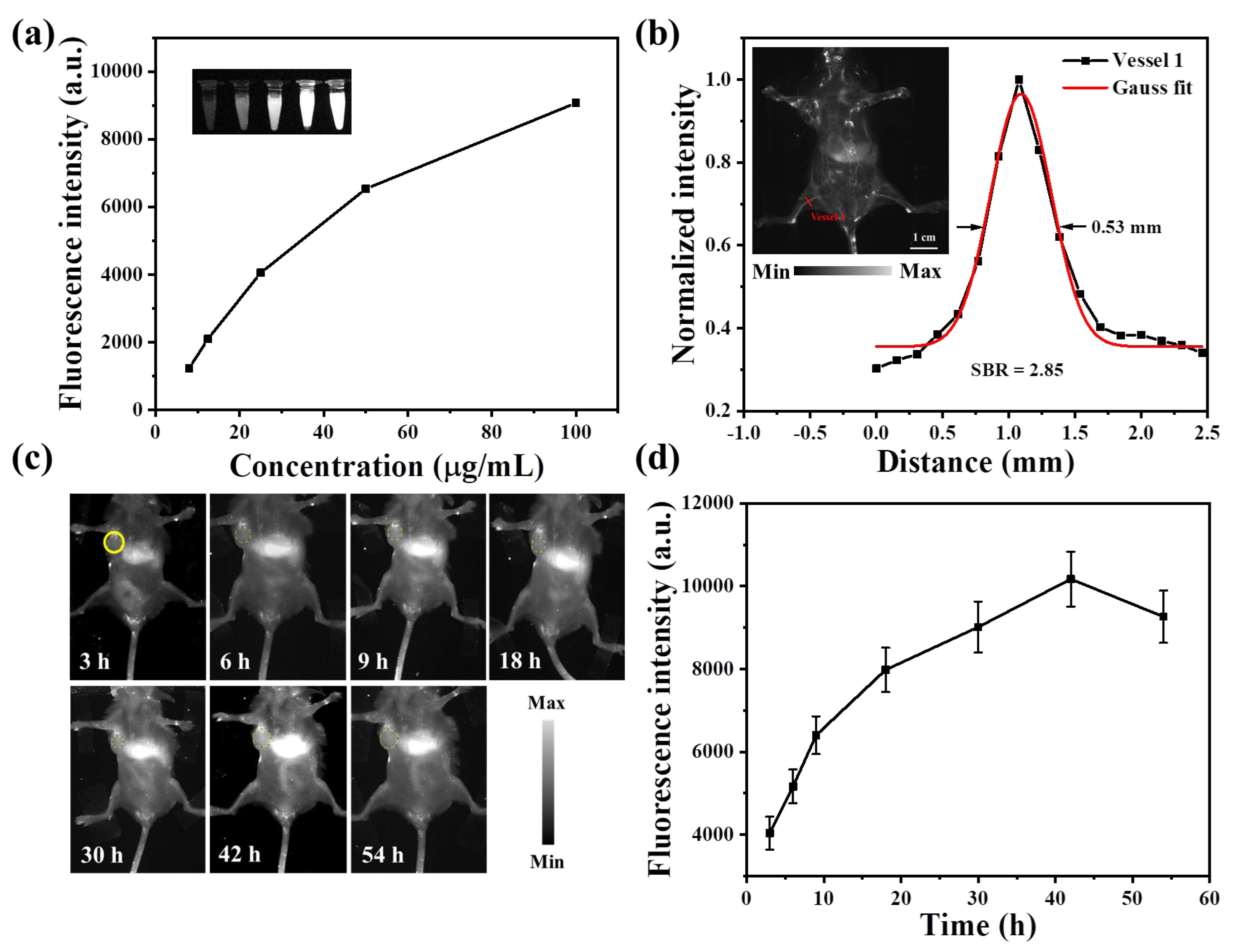 Pharmaceutics 15 02027 g005
