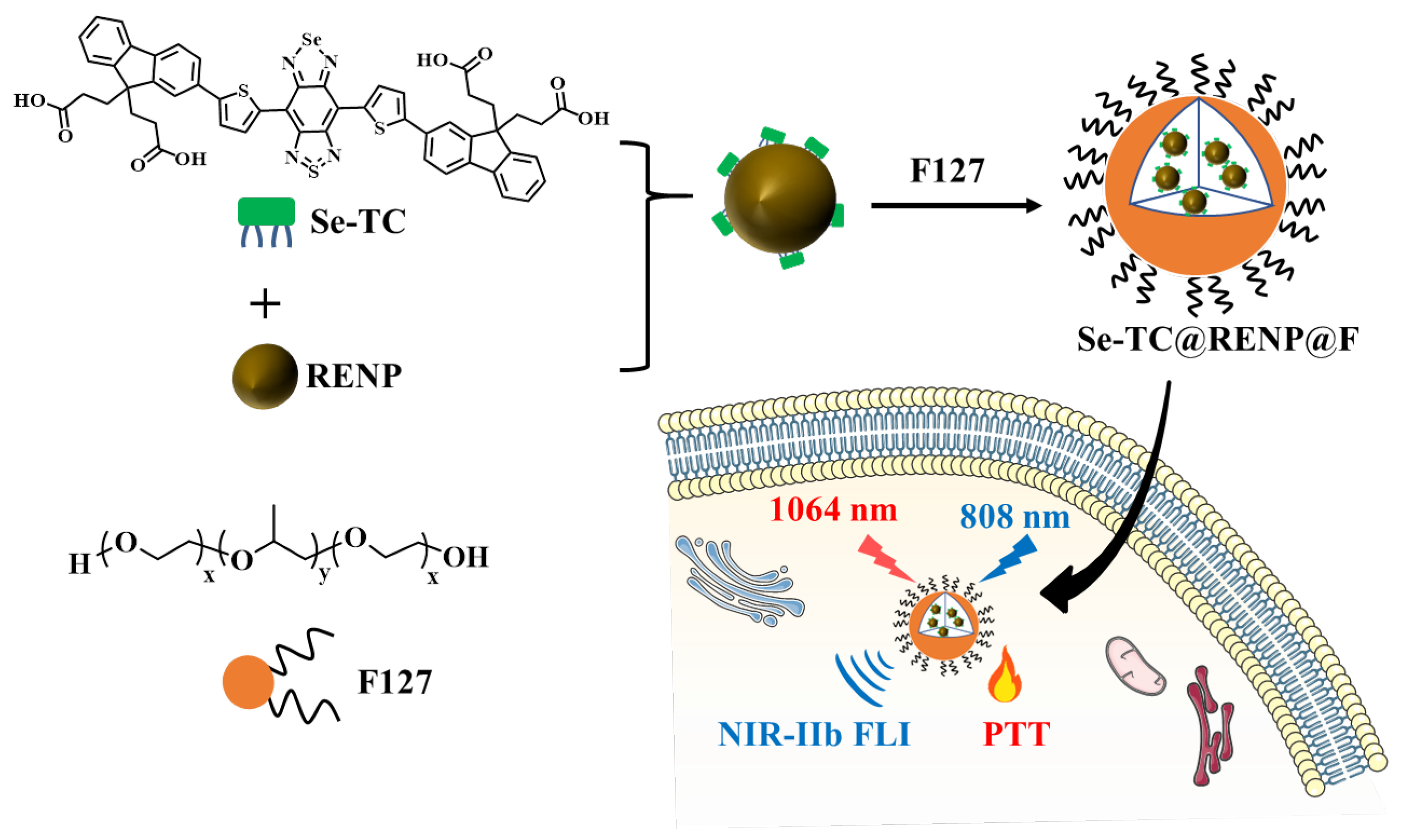 Pharmaceutics 15 02027 sch001