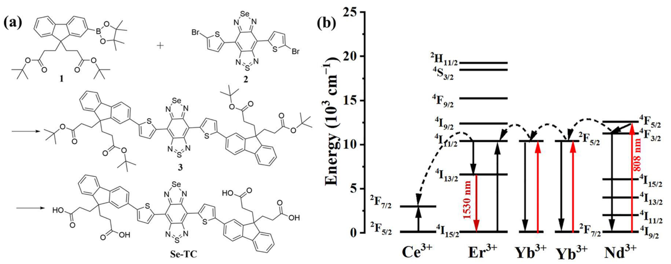 Pharmaceutics 15 02027 sch002