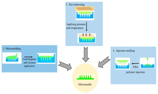Pharmaceutics 15 02029 g006
