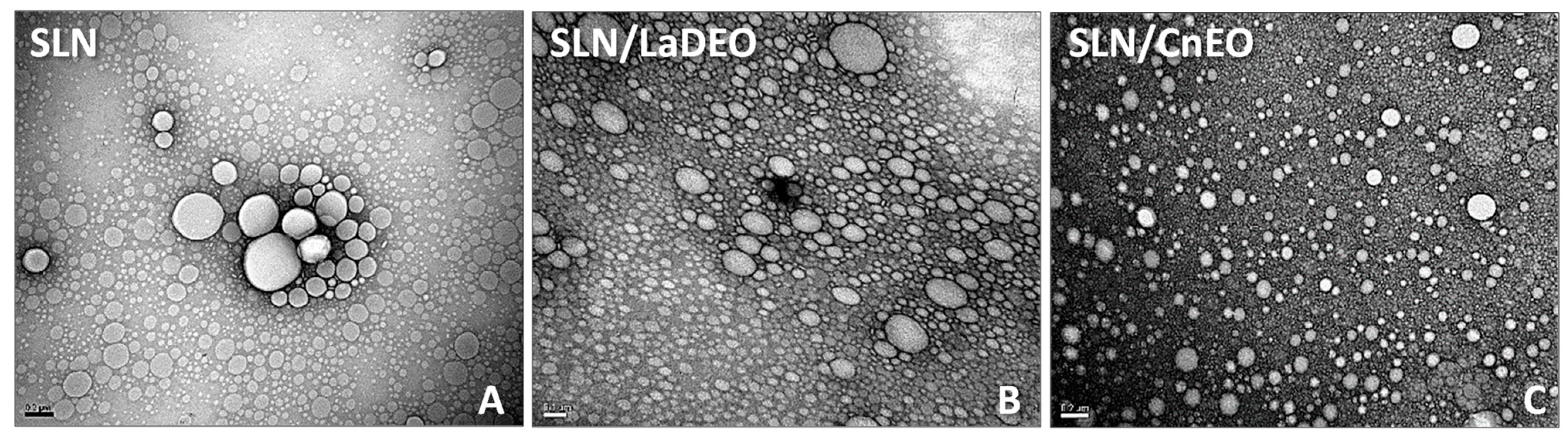 Pharmaceutics 15 02045 g001 Pharmaceutics 15 02045 g001
