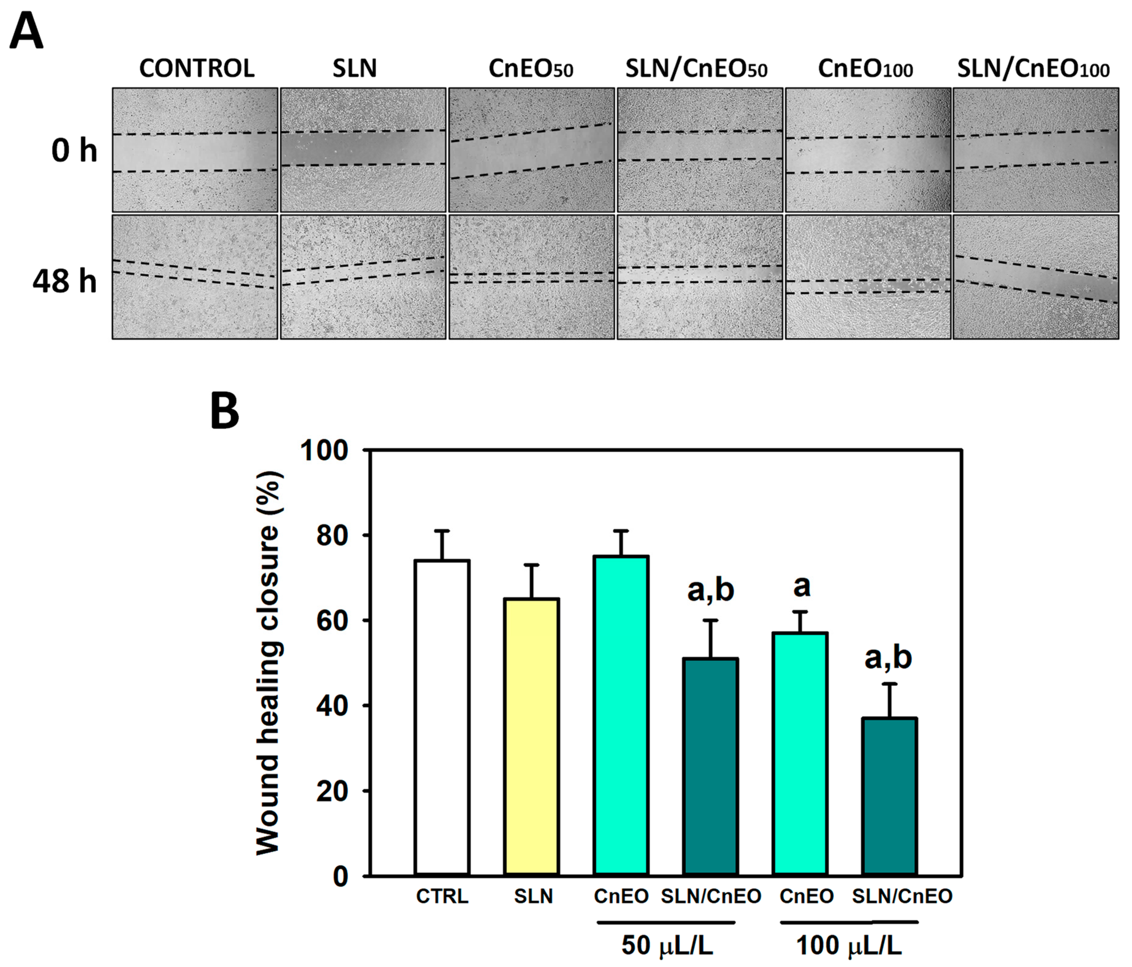 Pharmaceutics 15 02045 g006 Pharmaceutics 15 02045 g006