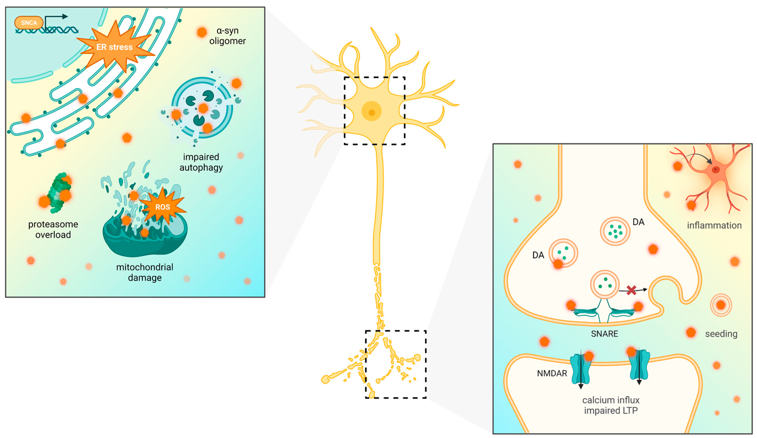 Pharmaceutics 15 02051 g002