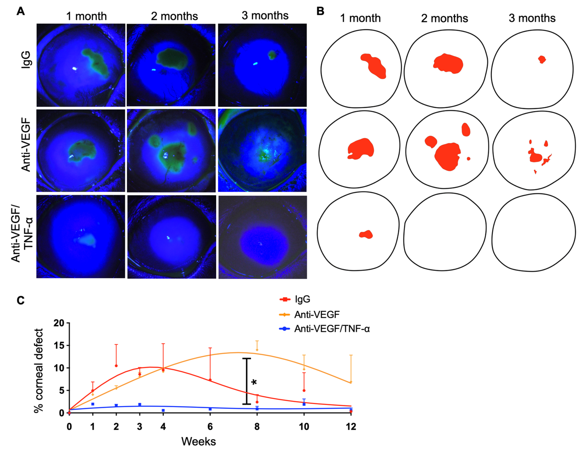 Pharmaceutics 15 02059 g004
