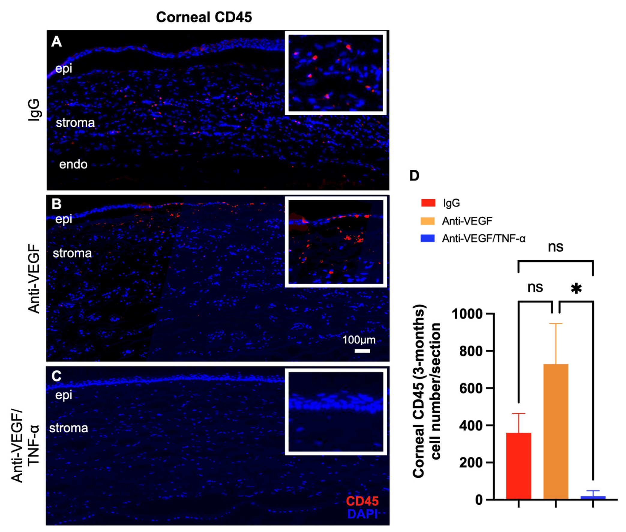 Pharmaceutics 15 02059 g005