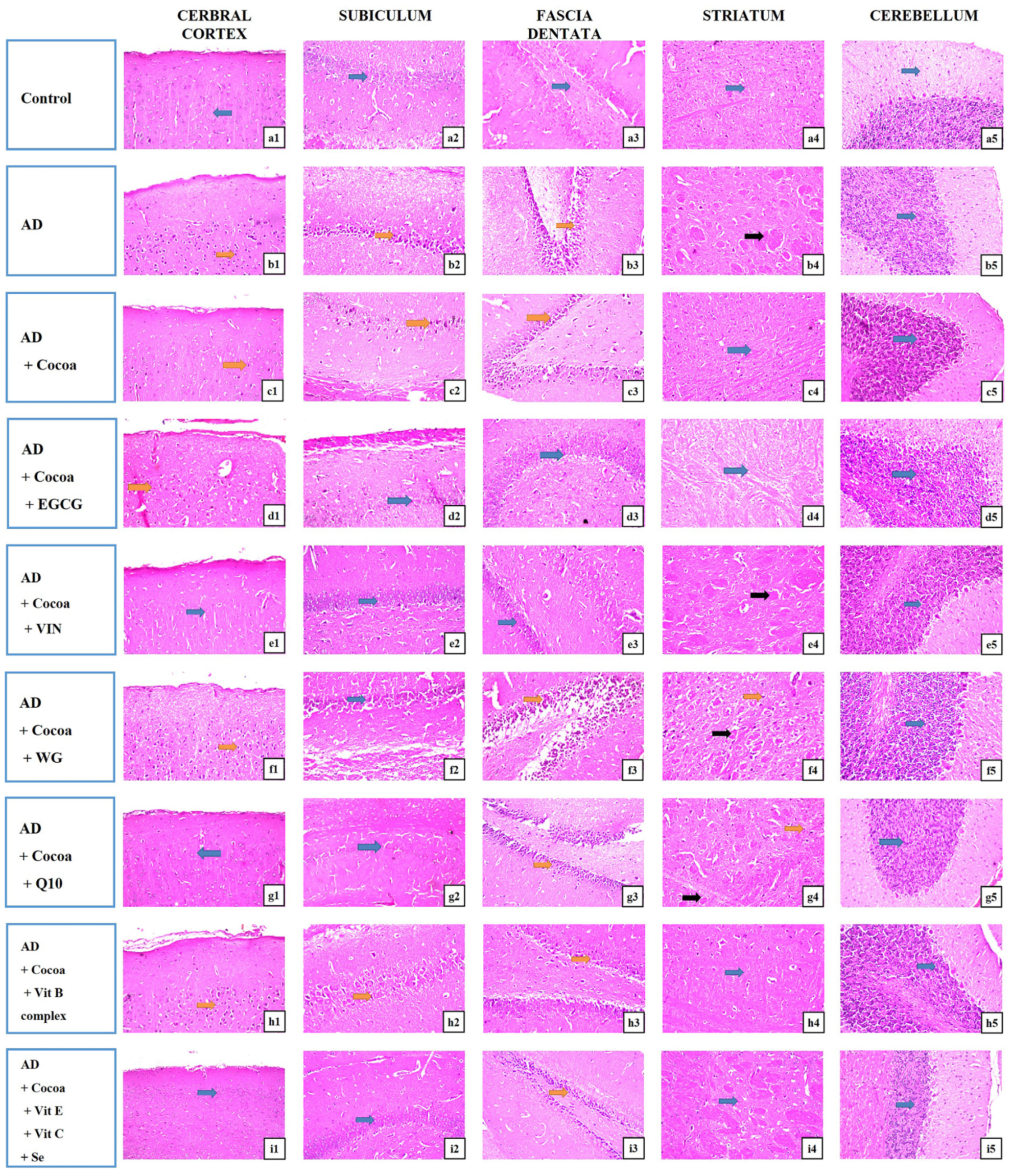 Pharmaceutics 15 02063 g007